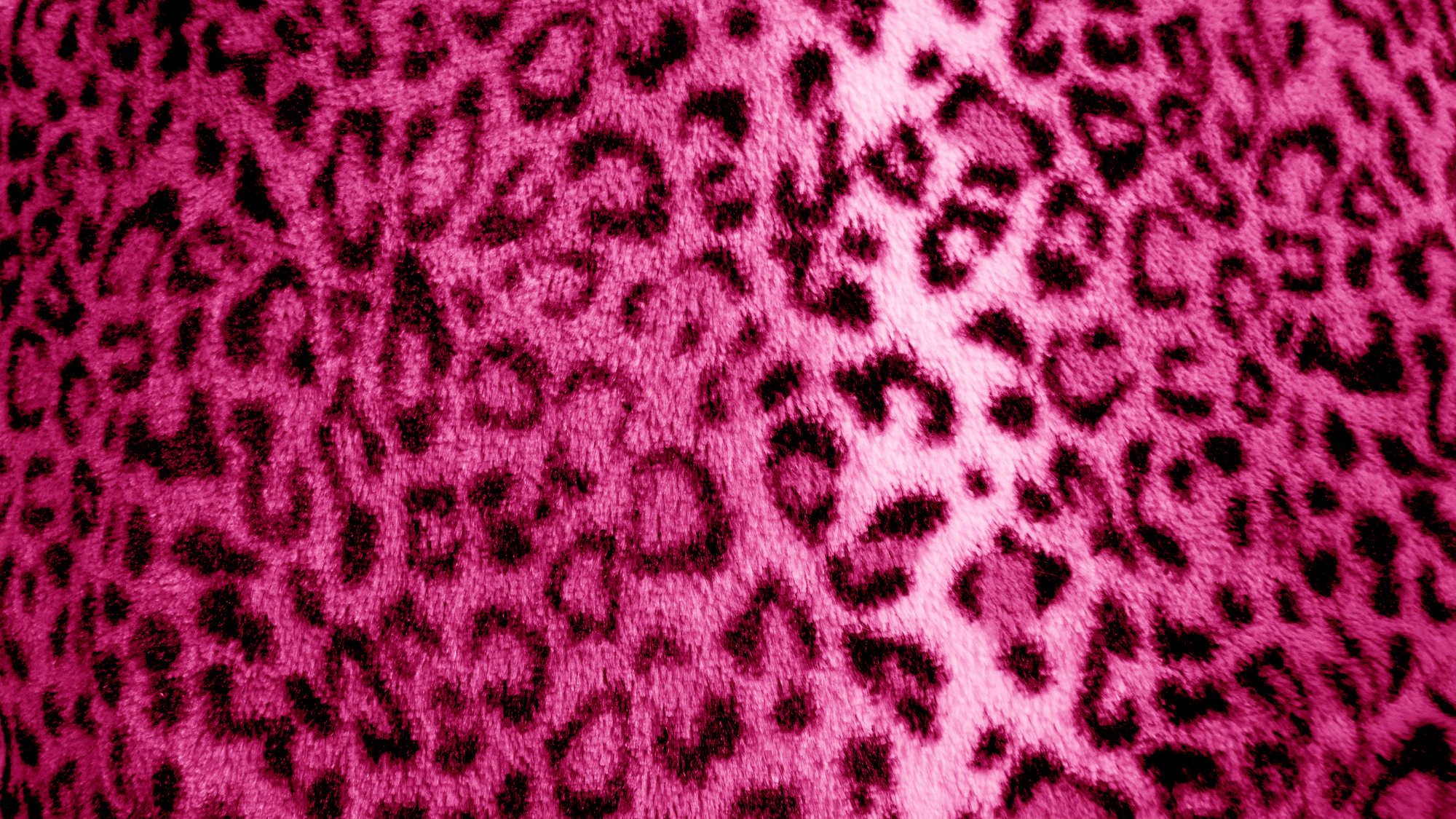 The Ultimate Guide to 2000s Fabric