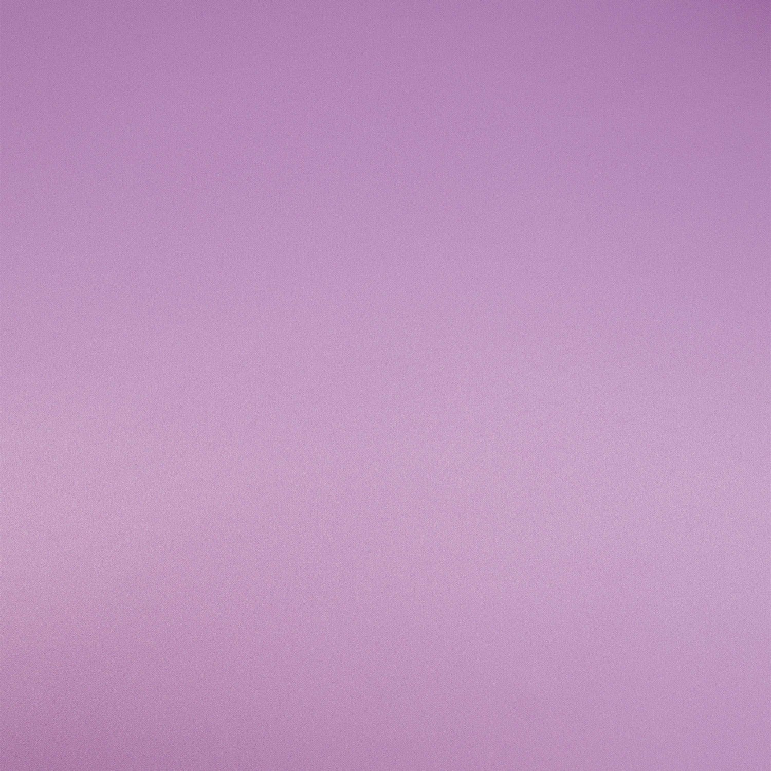 #color_GRAPE ROSE