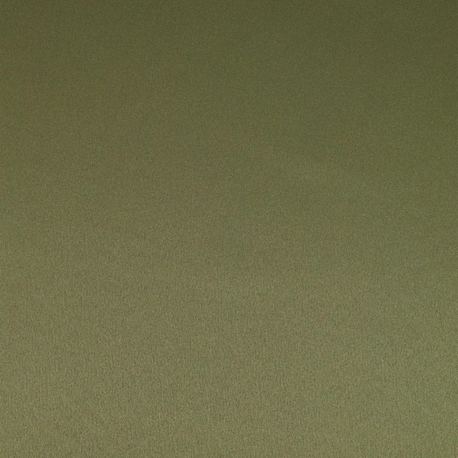 #color_P OLIVE
