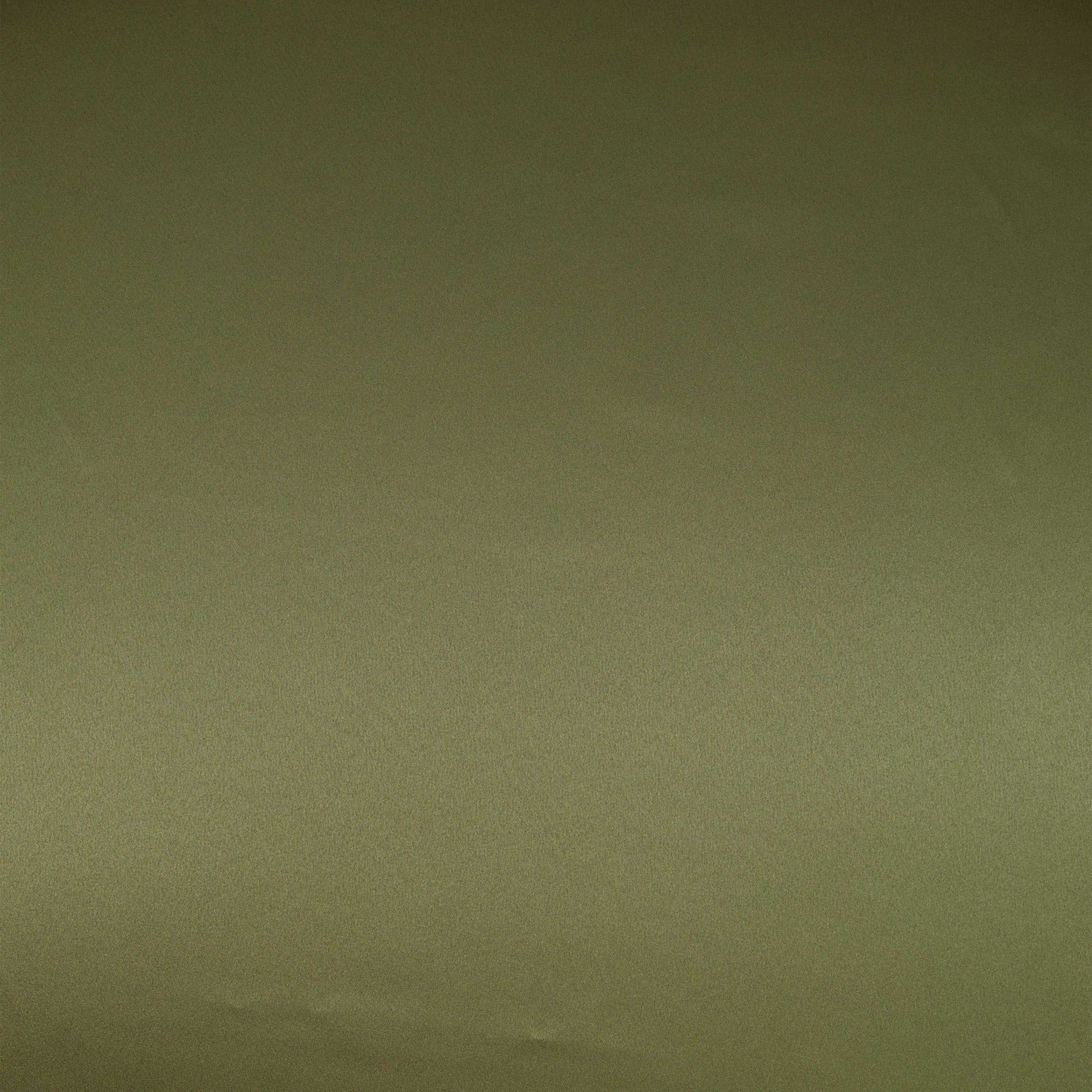 #color_P OLIVE
