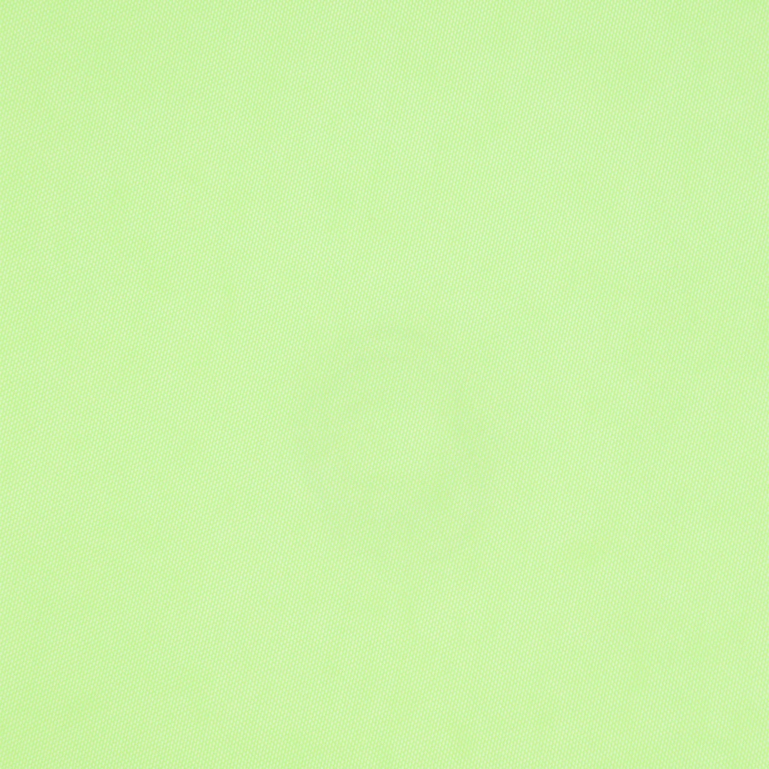 #color_JOYFUL LIME