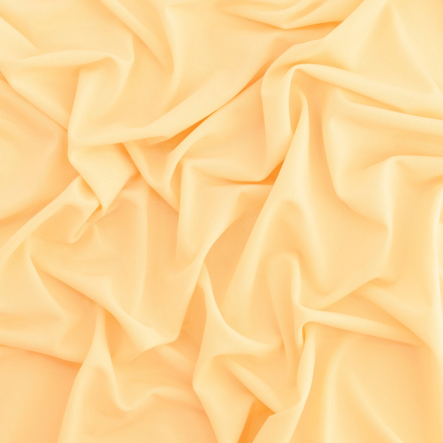 #color_SHELL BREEZE