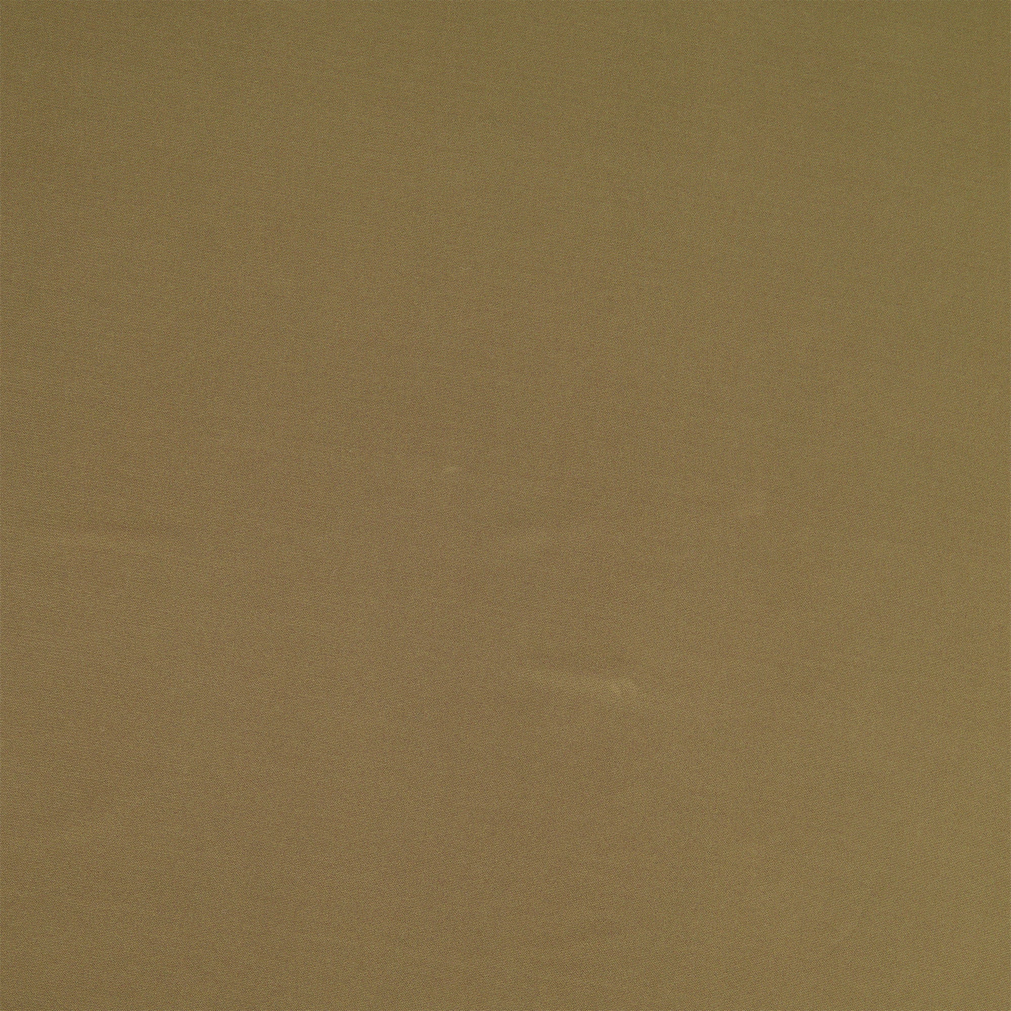 #color_GRACIOUS OLIVE