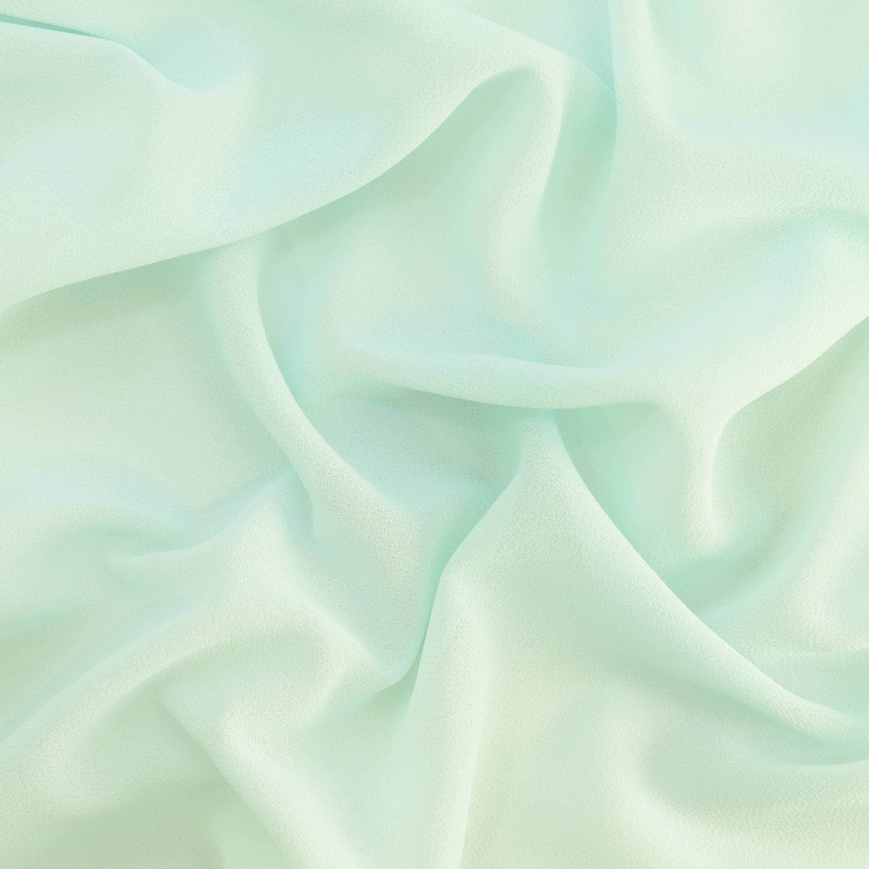 #color_MINT SHELL
