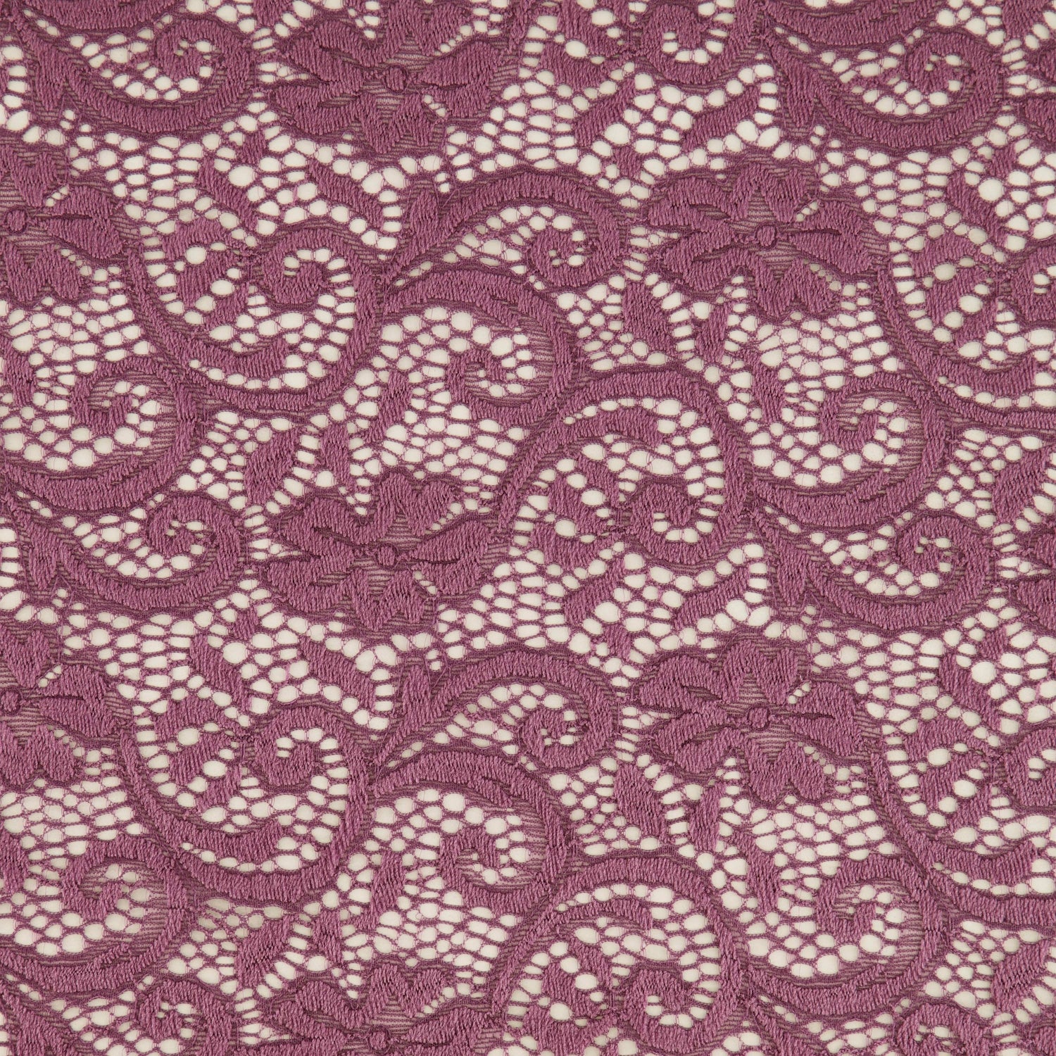 #color_FRENCH LILAC FROST