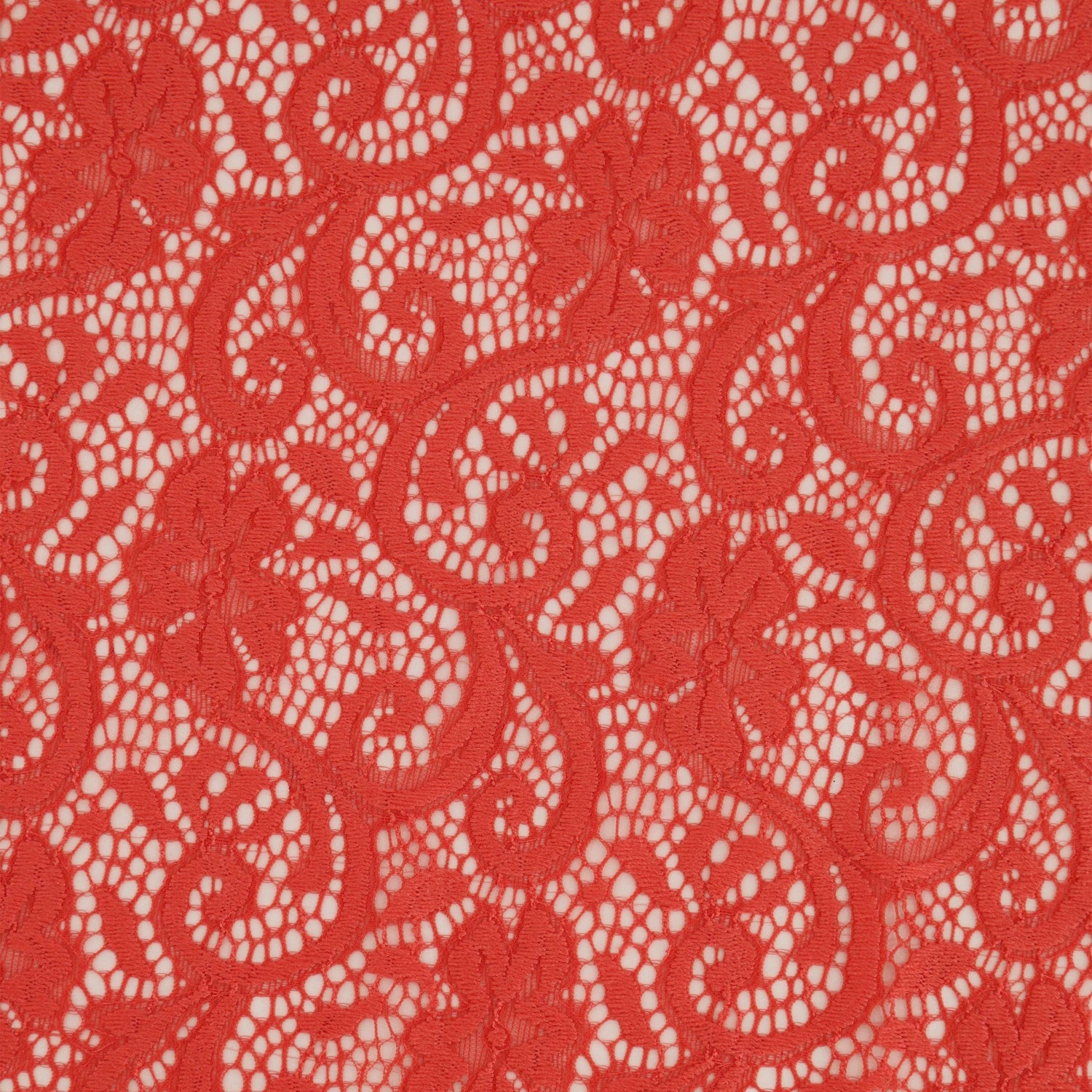 #color_QUINCE FROST