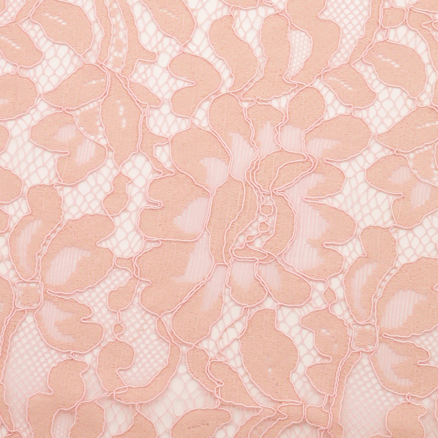 #color_PETAL/PEONY