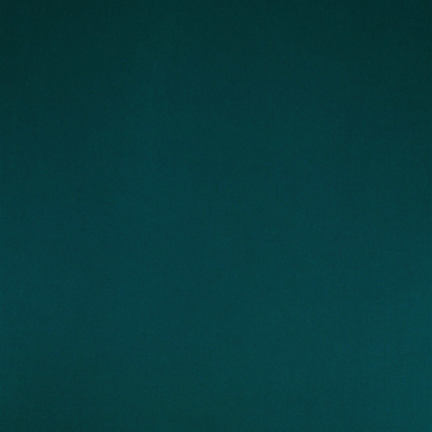 #color_EJ PINE