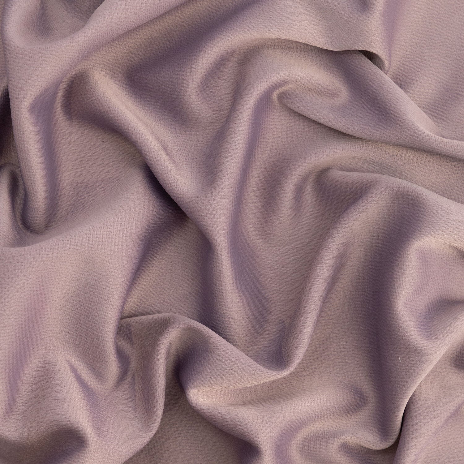 #color_VIOLET MUSE
