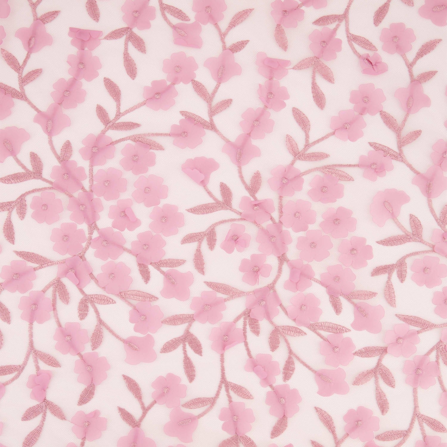 #color_DUSTY BLOSSOM