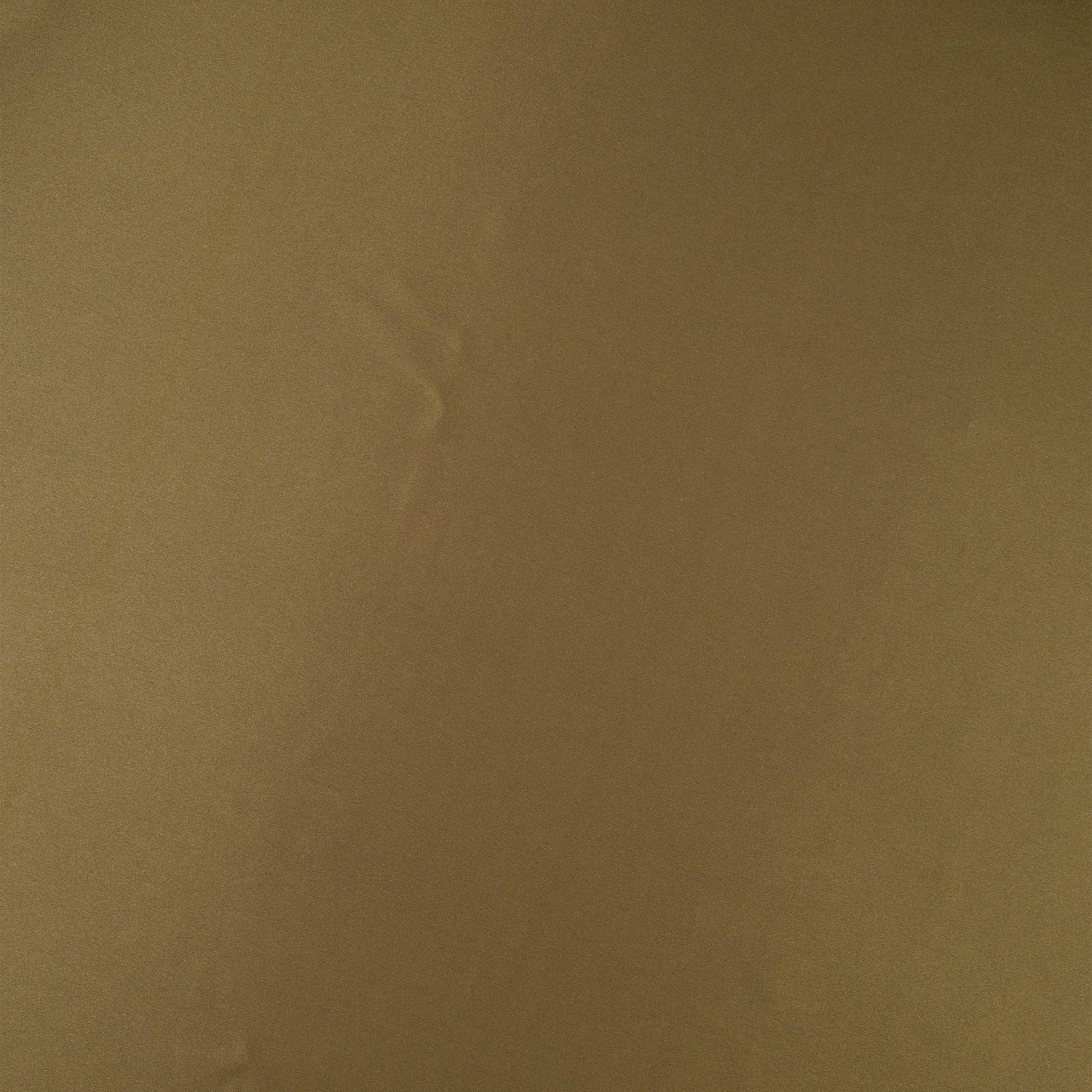 #color_GRACIOUS OLIVE