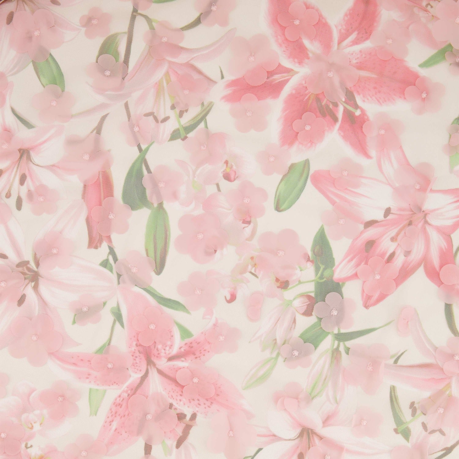 #color_BLOSSOM