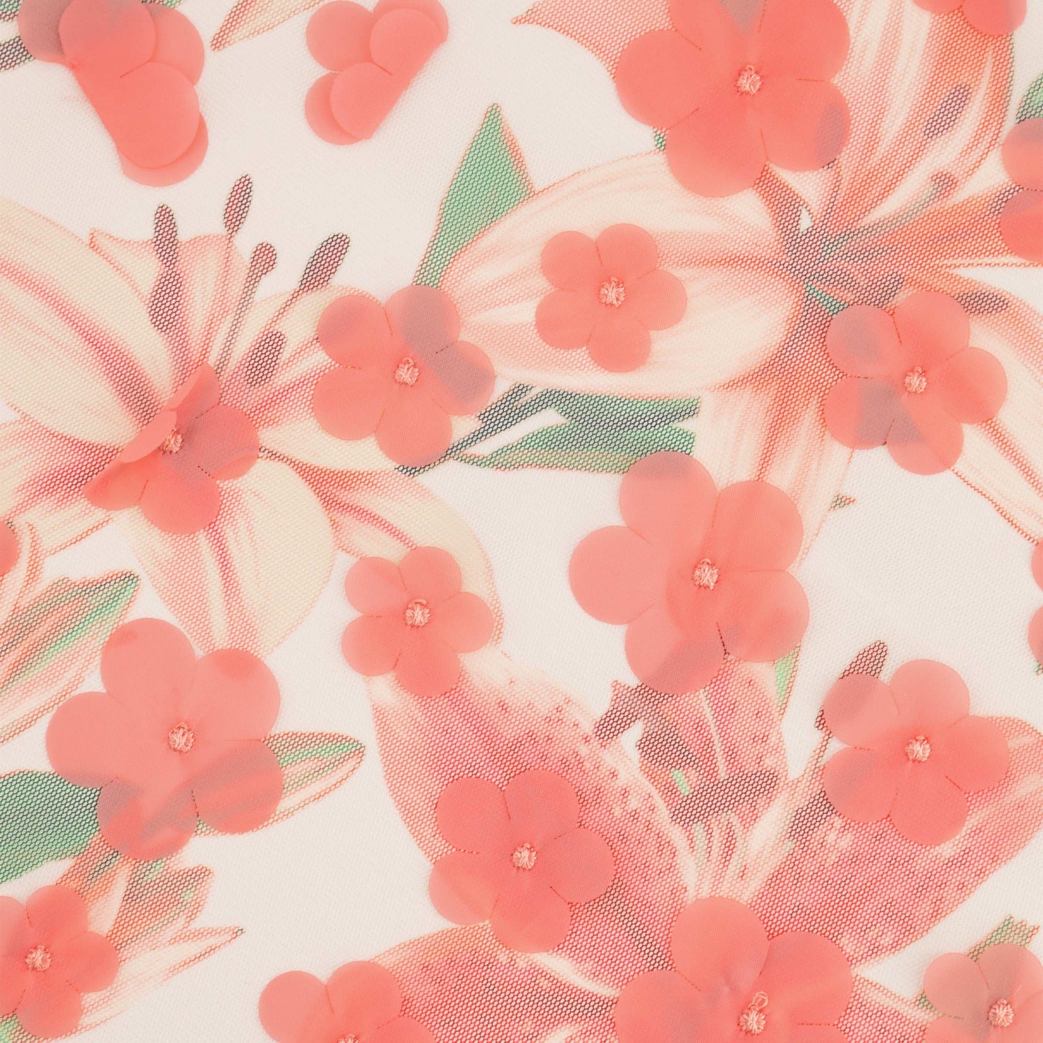 #color_CORAL