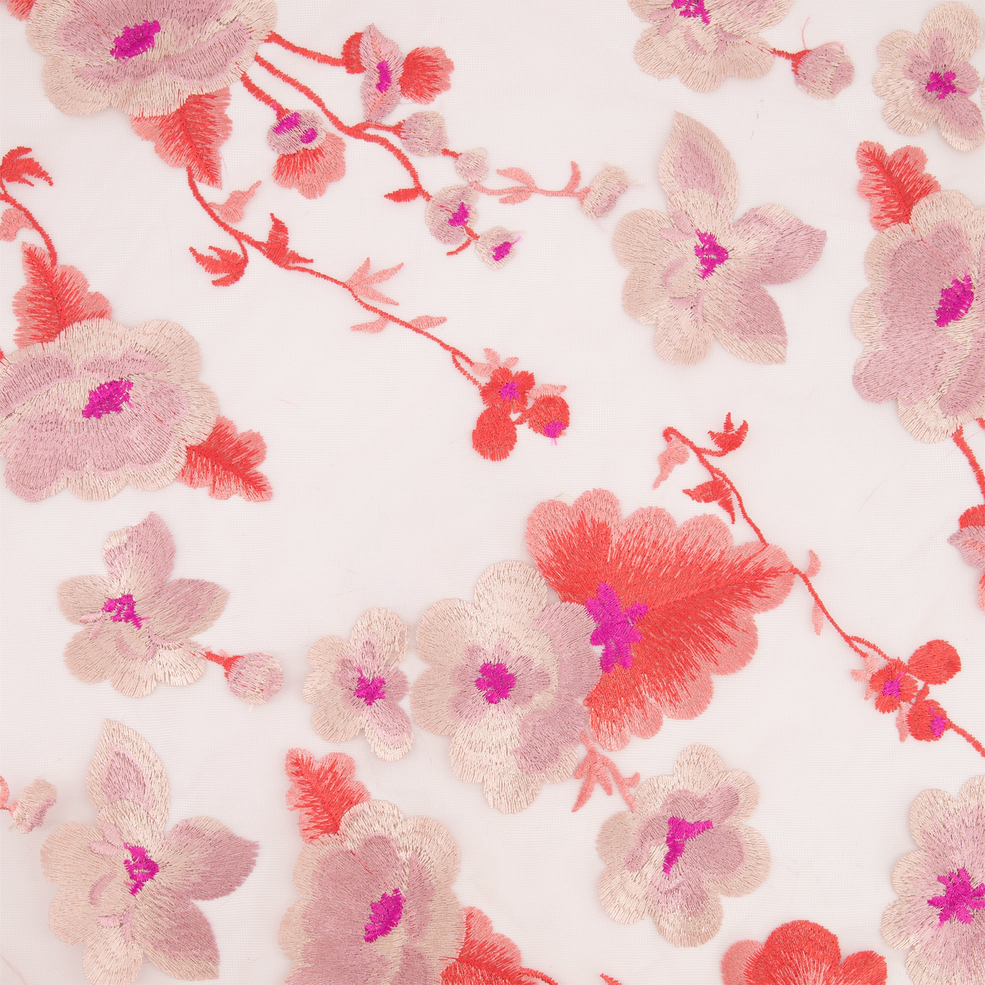#color_BLUSH/PINK