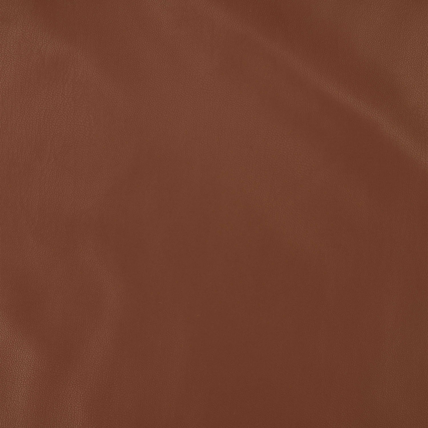#color_CHOCOLATE BROWN