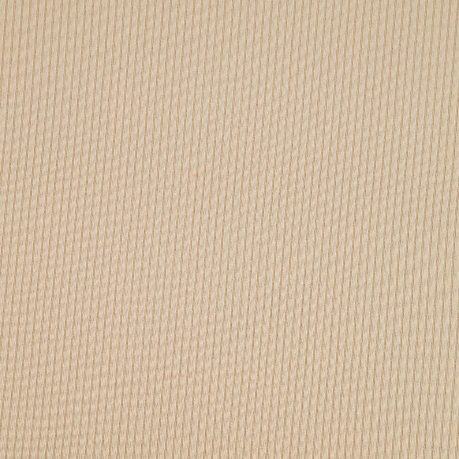 #color_PARCHMENT