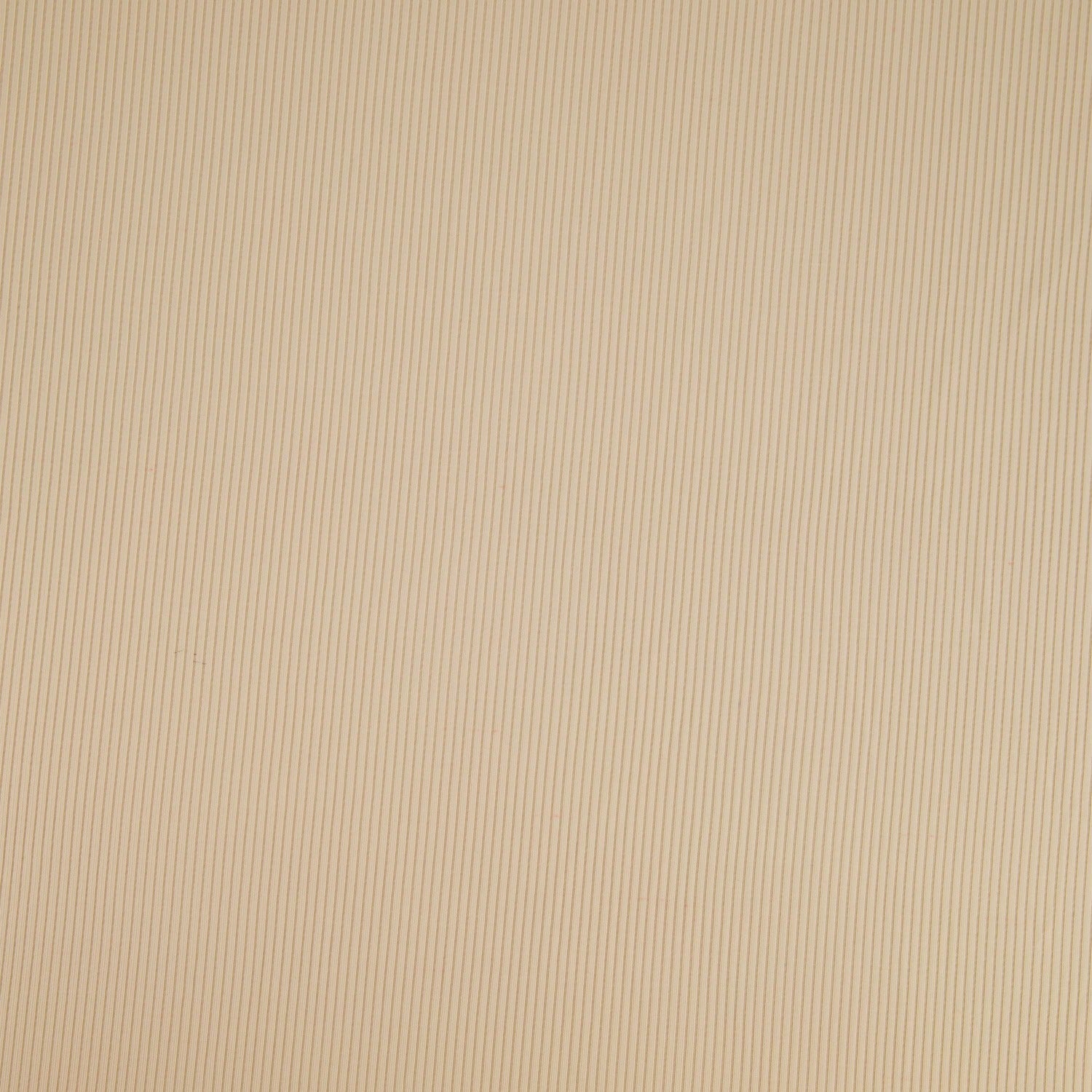 #color_PARCHMENT