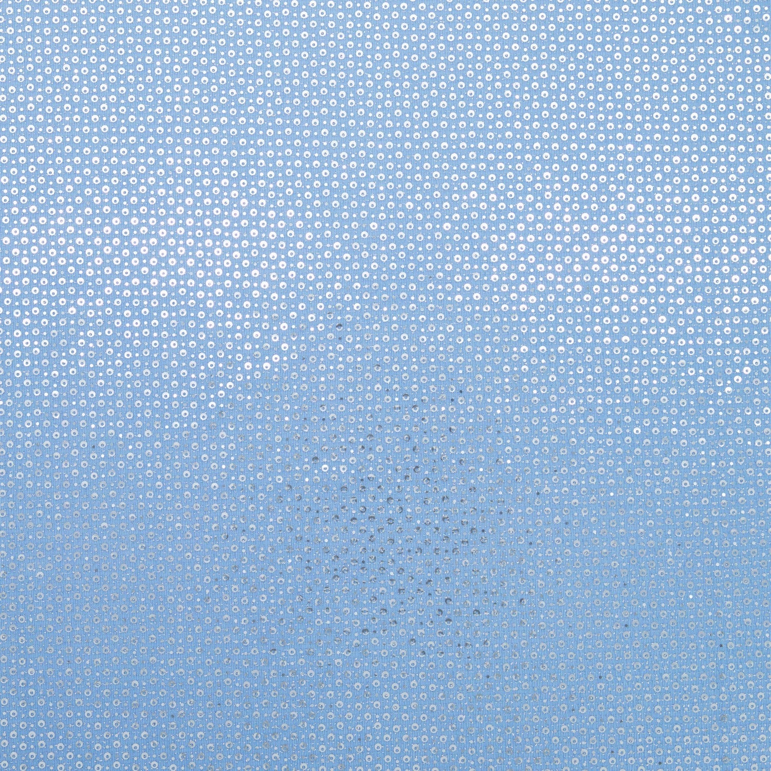 #color_SKY/SILVER