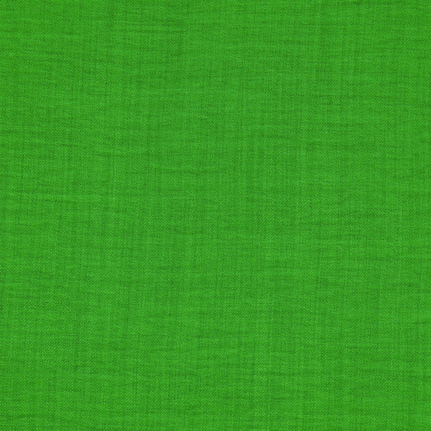 #color_PARAKEET GREEN