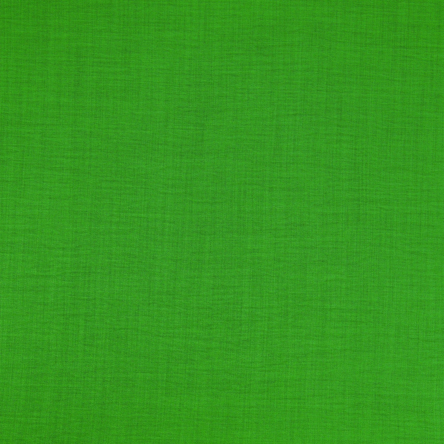 #color_PARAKEET GREEN