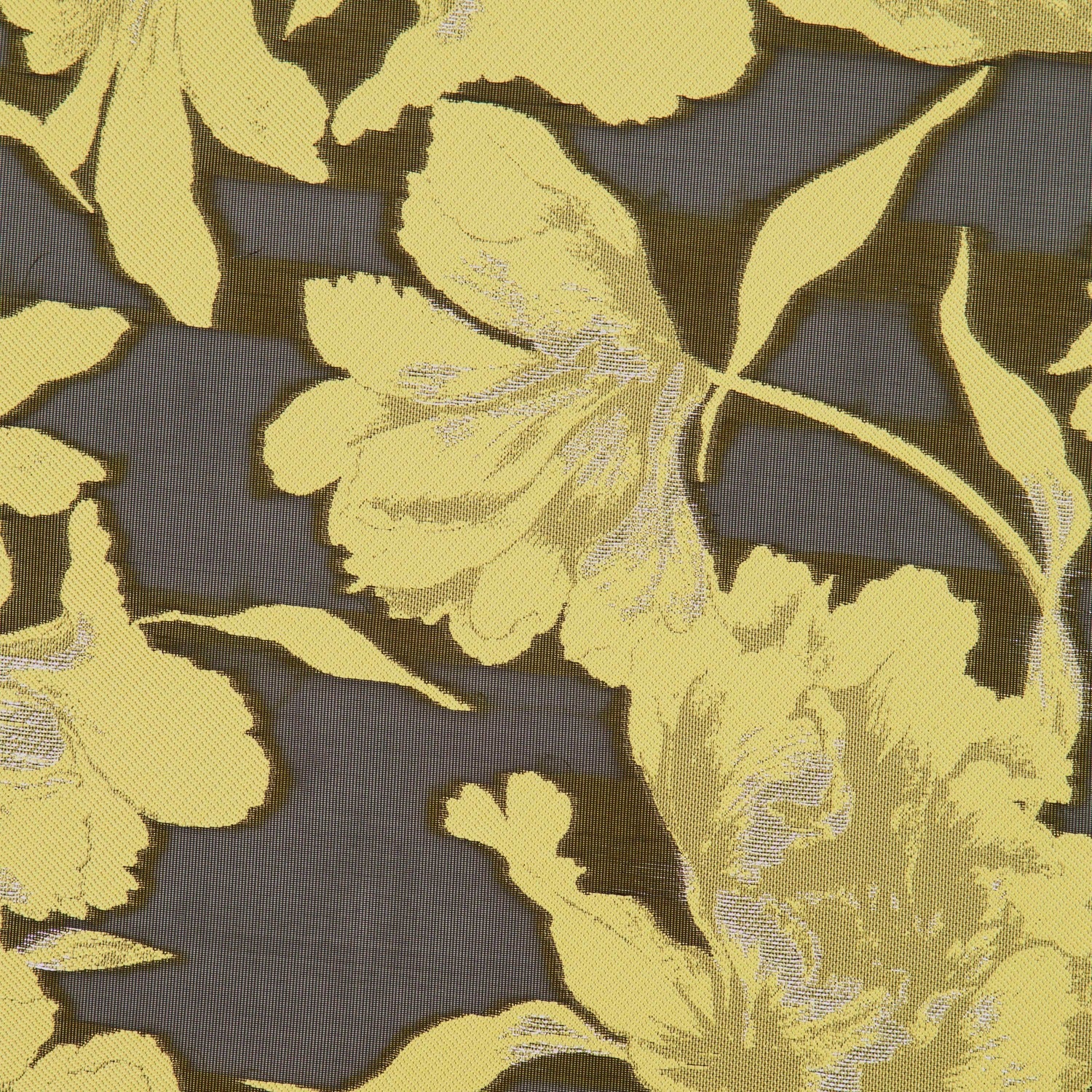 #color_BLACK/BUTTERCUP