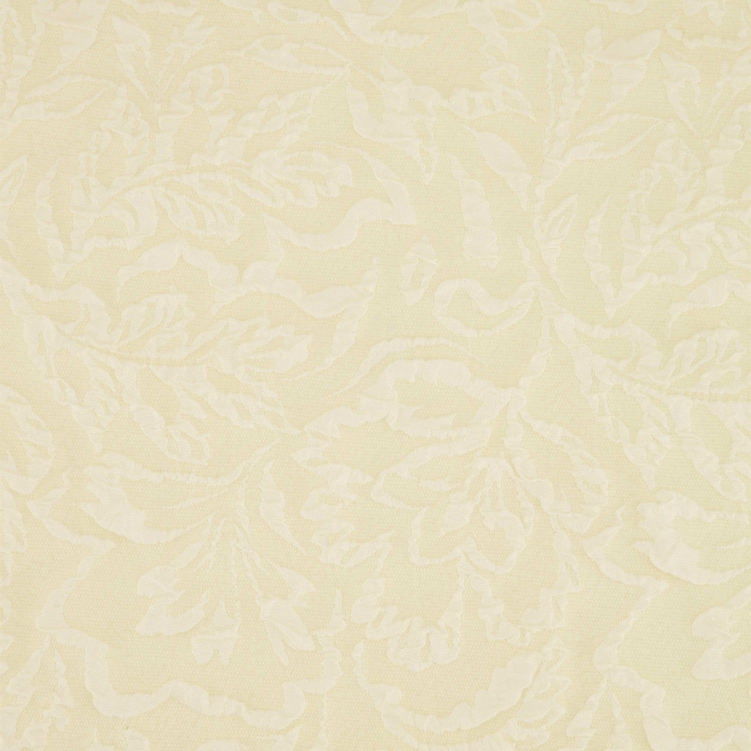 #color_GRACIOUS PEARL