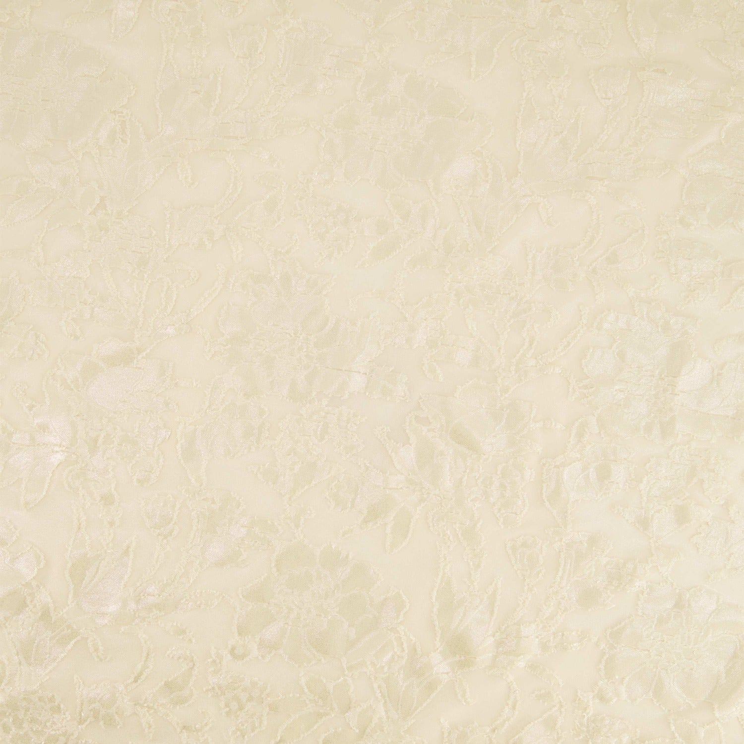 #color_CHAMPAGNE/SILVER