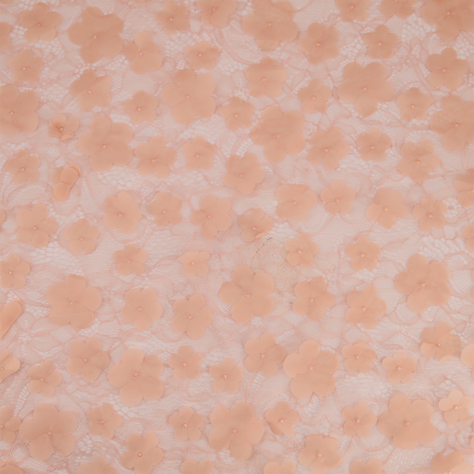#color_GRACIOUS APRICOT