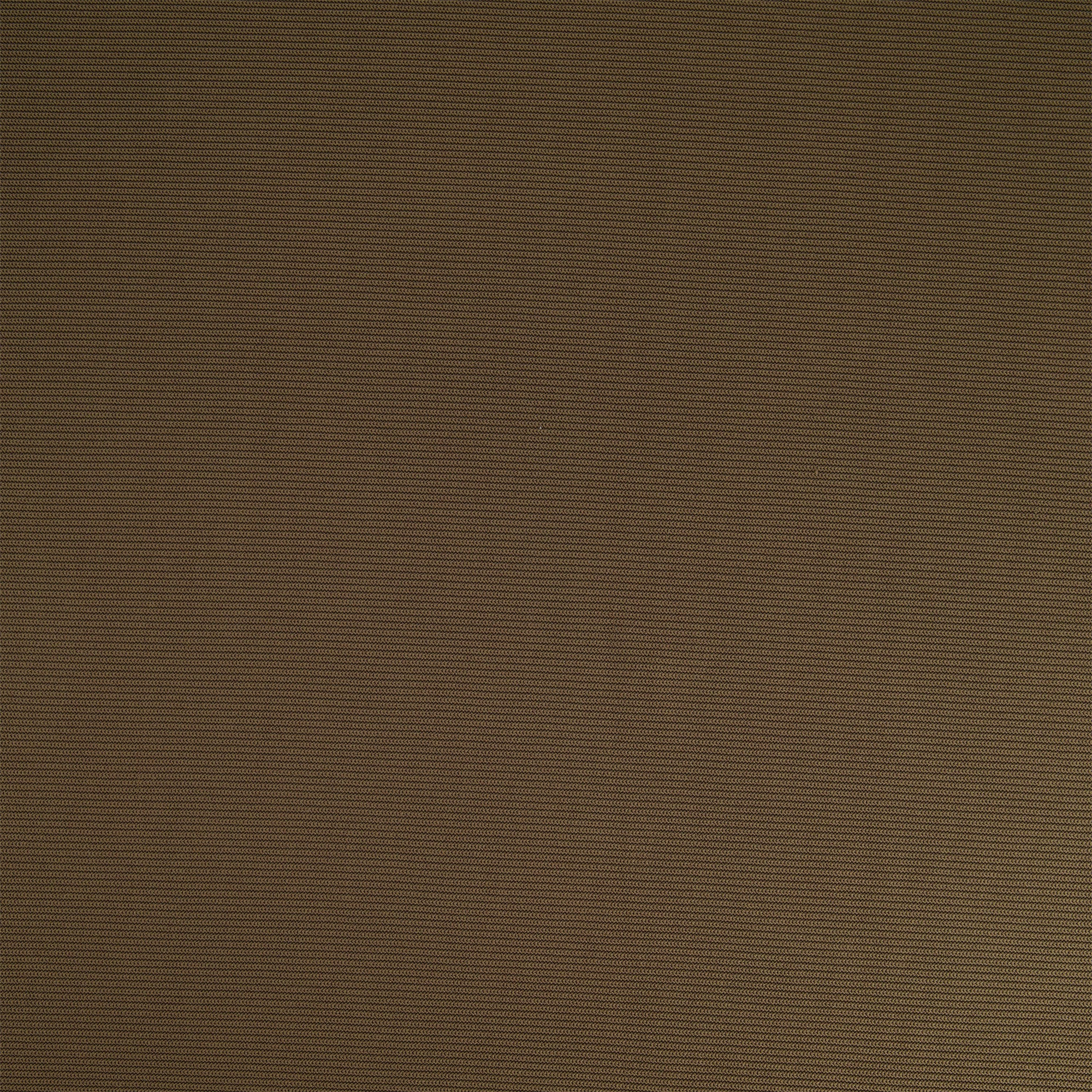 #color_GRACIOUS OLIVE