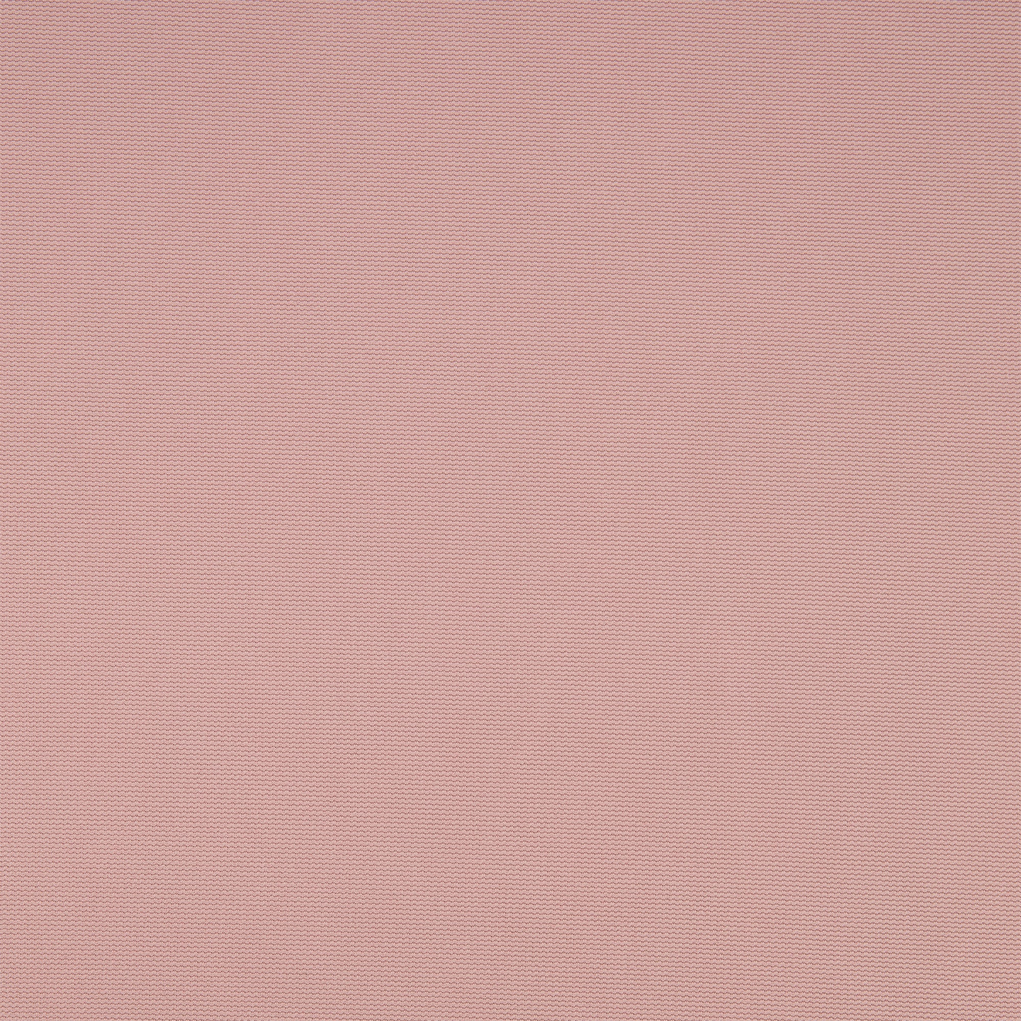 #color_GRACIOUS ROSE