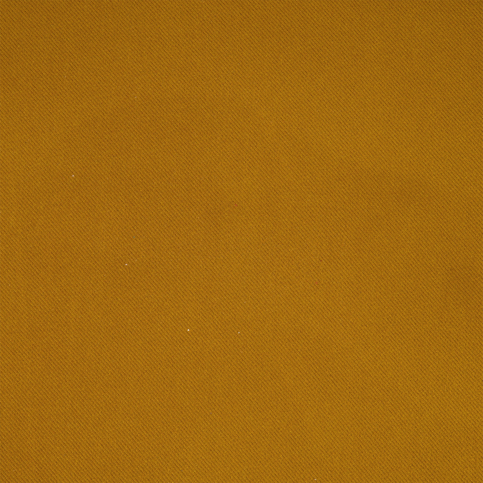 #color_GRACIOUS UMBER