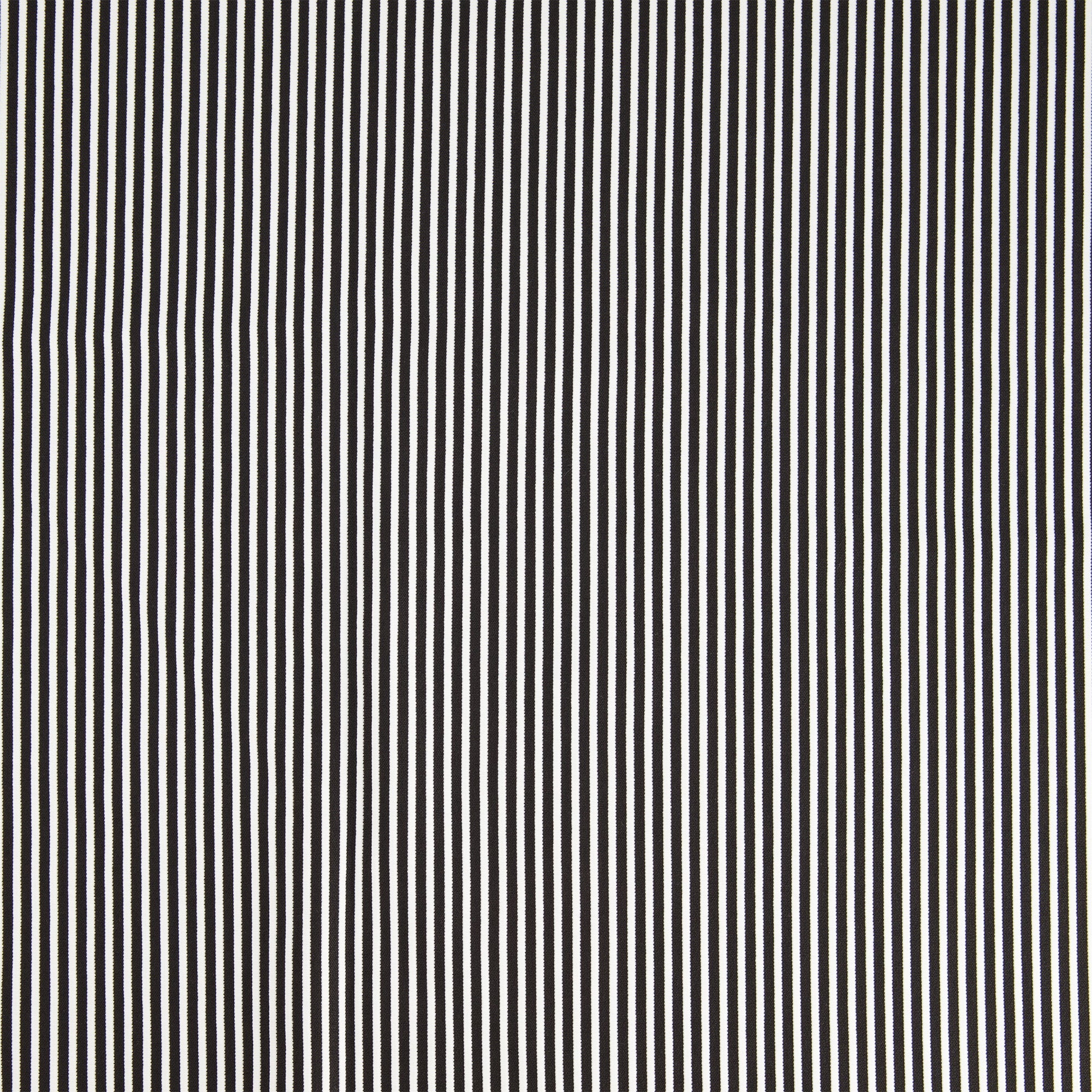 #color_PFP WHITE/BLACK