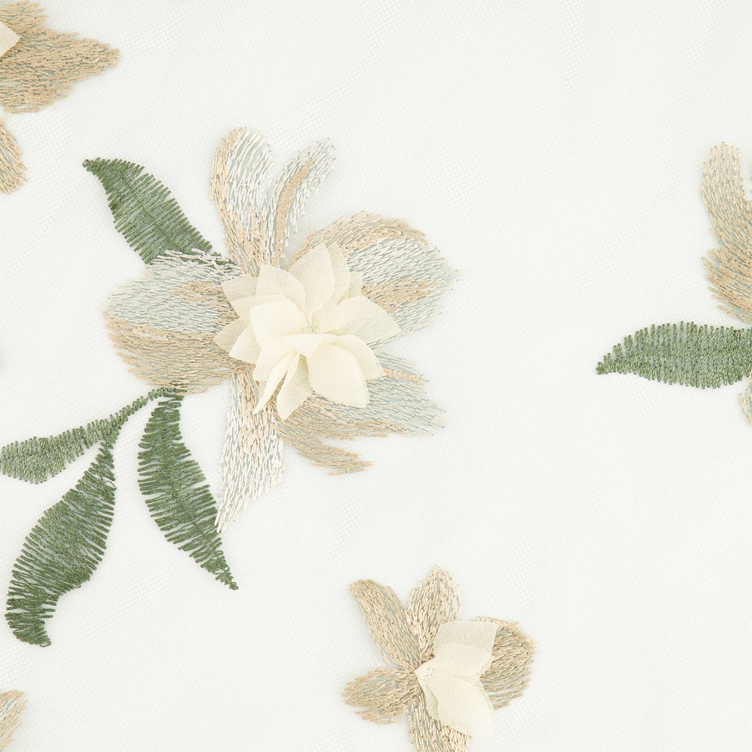 #color_SAGE/CHAMPAGNE