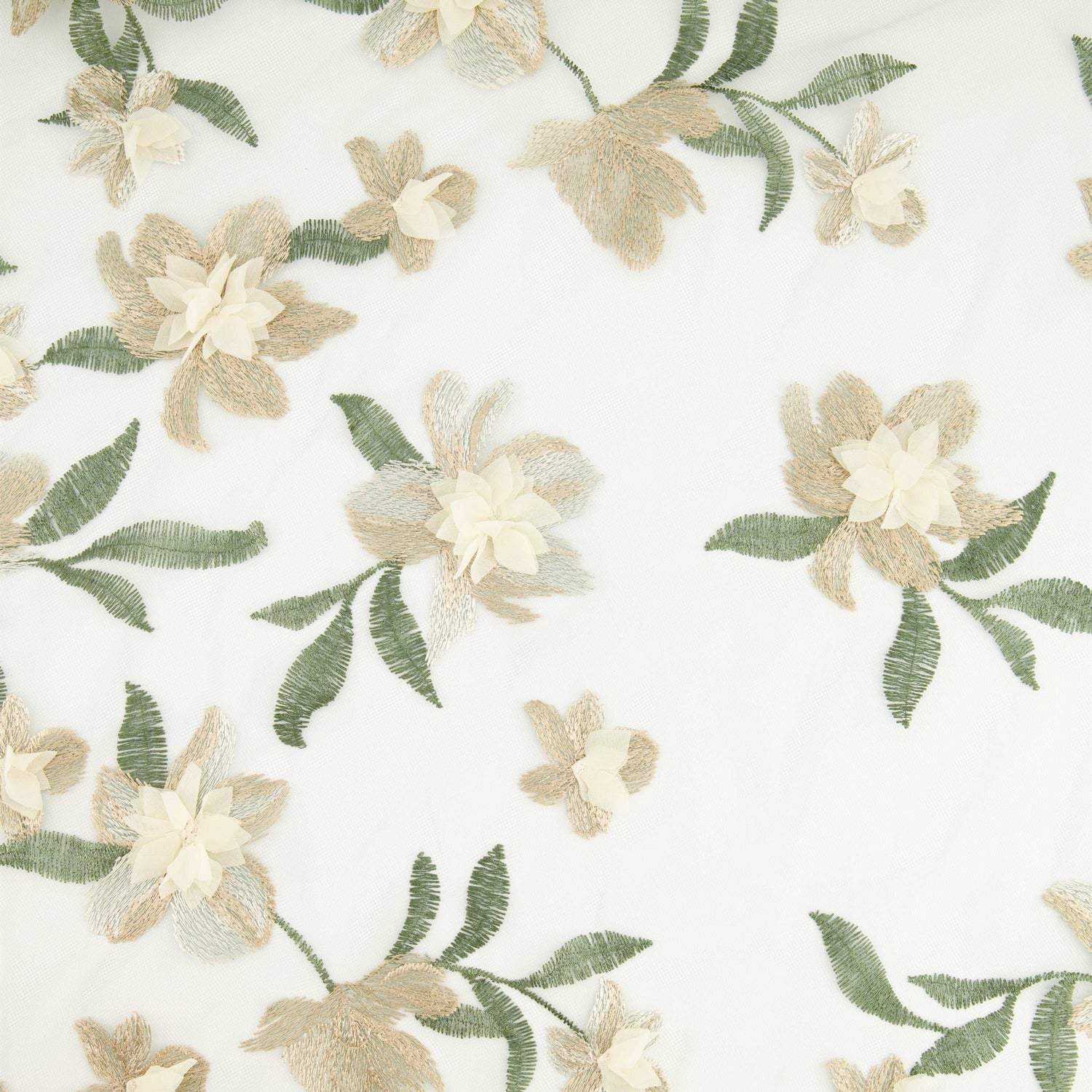 #color_SAGE/CHAMPAGNE