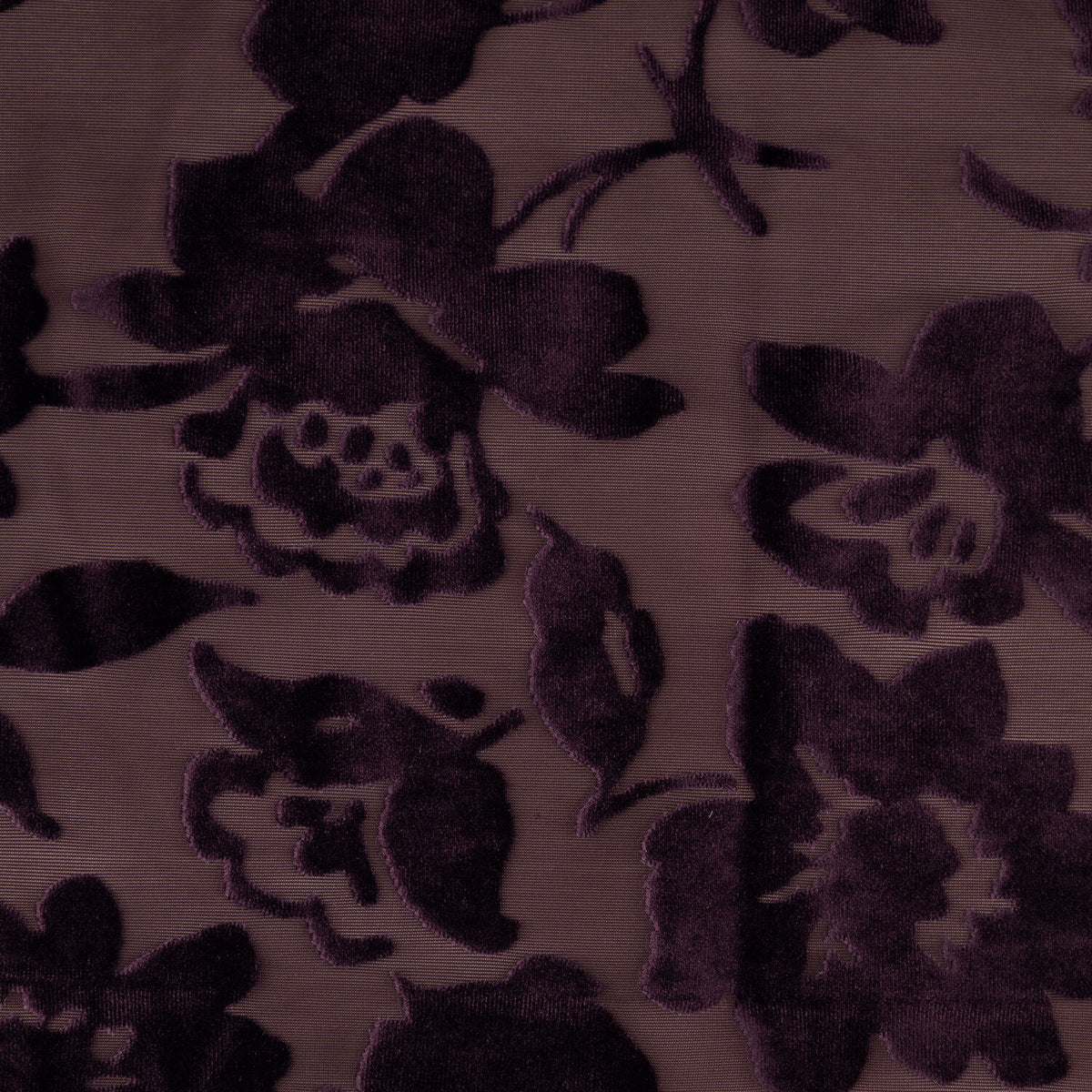 #color_PLUM