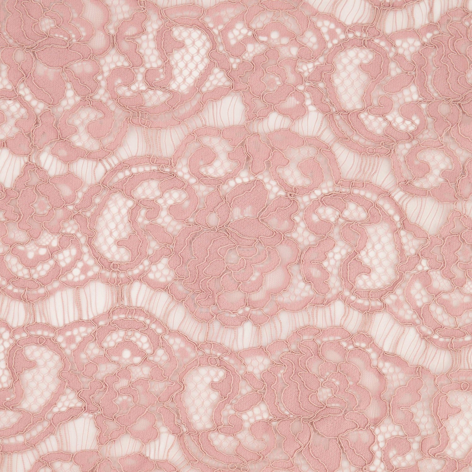 #color_GRACIOUS ROSE