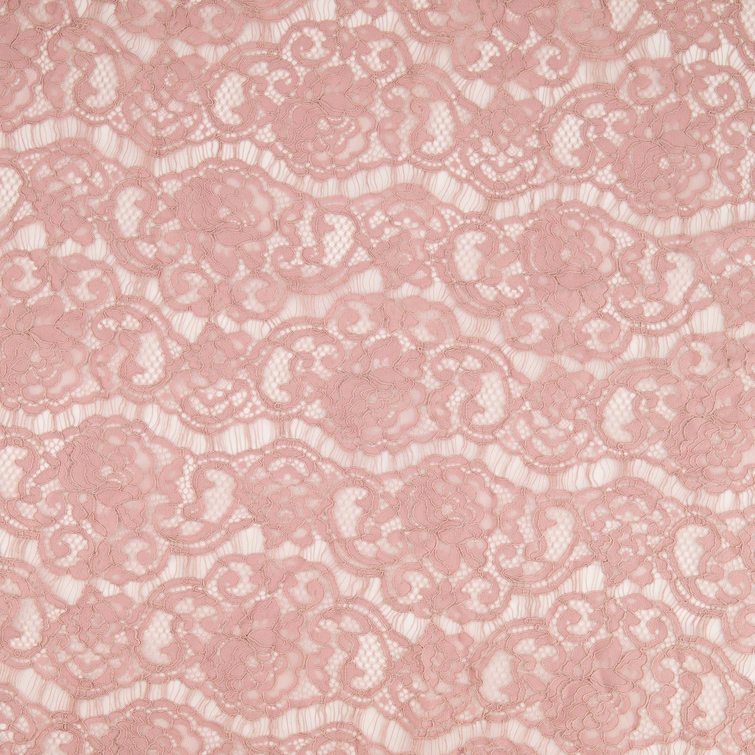 #color_GRACIOUS ROSE