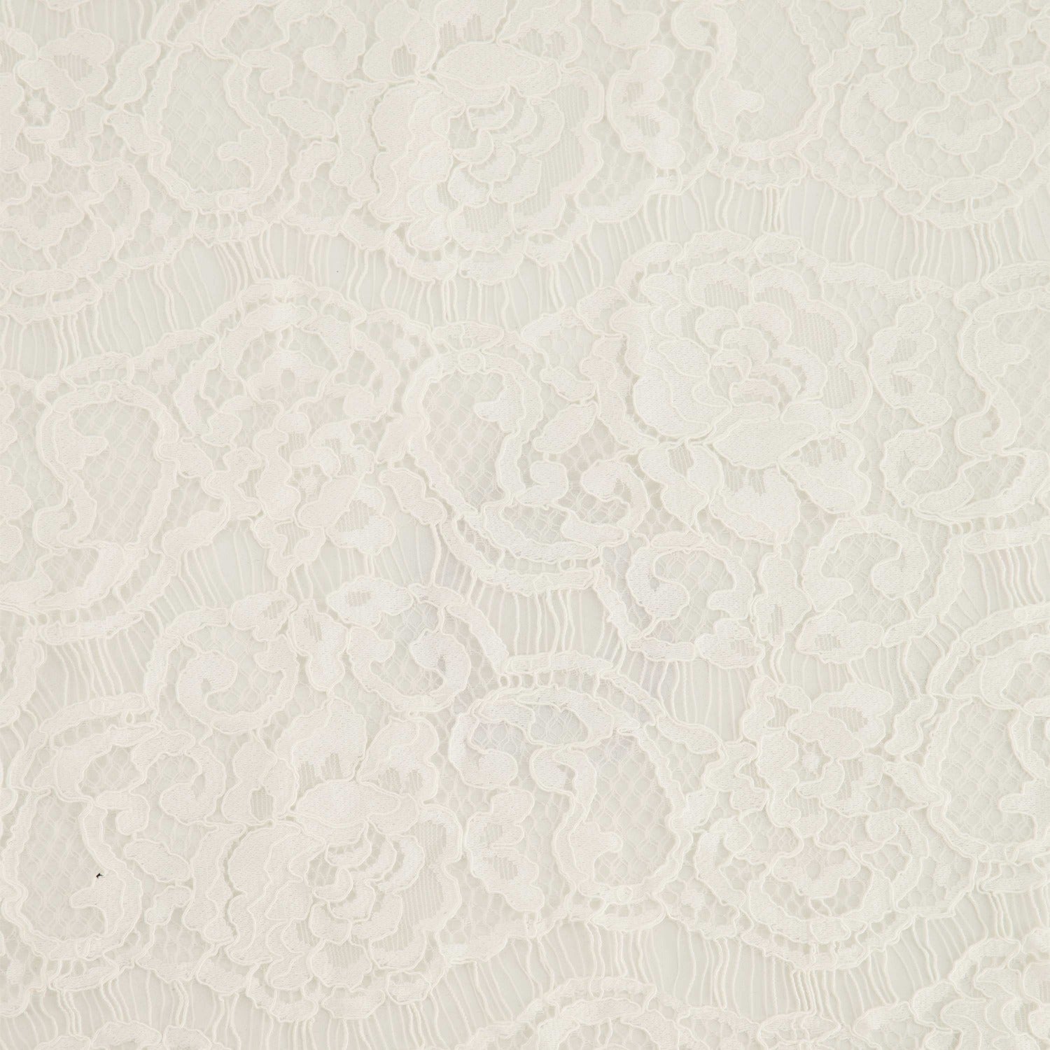 #color_OFF-WHITE