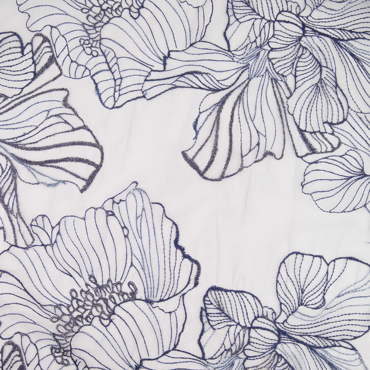 #color_NAVY/ROYAL