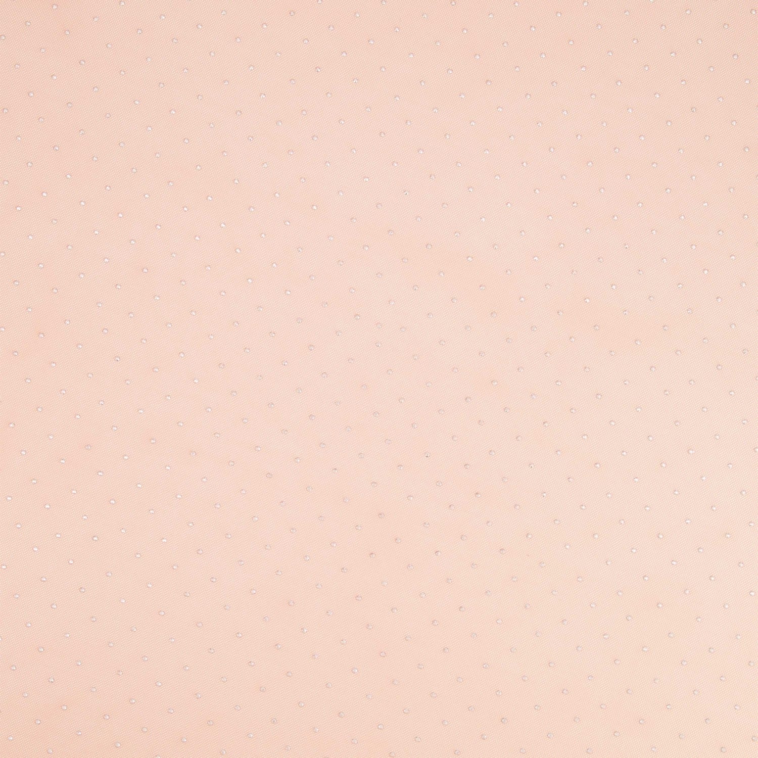 #color_BLUSH/SILVER
