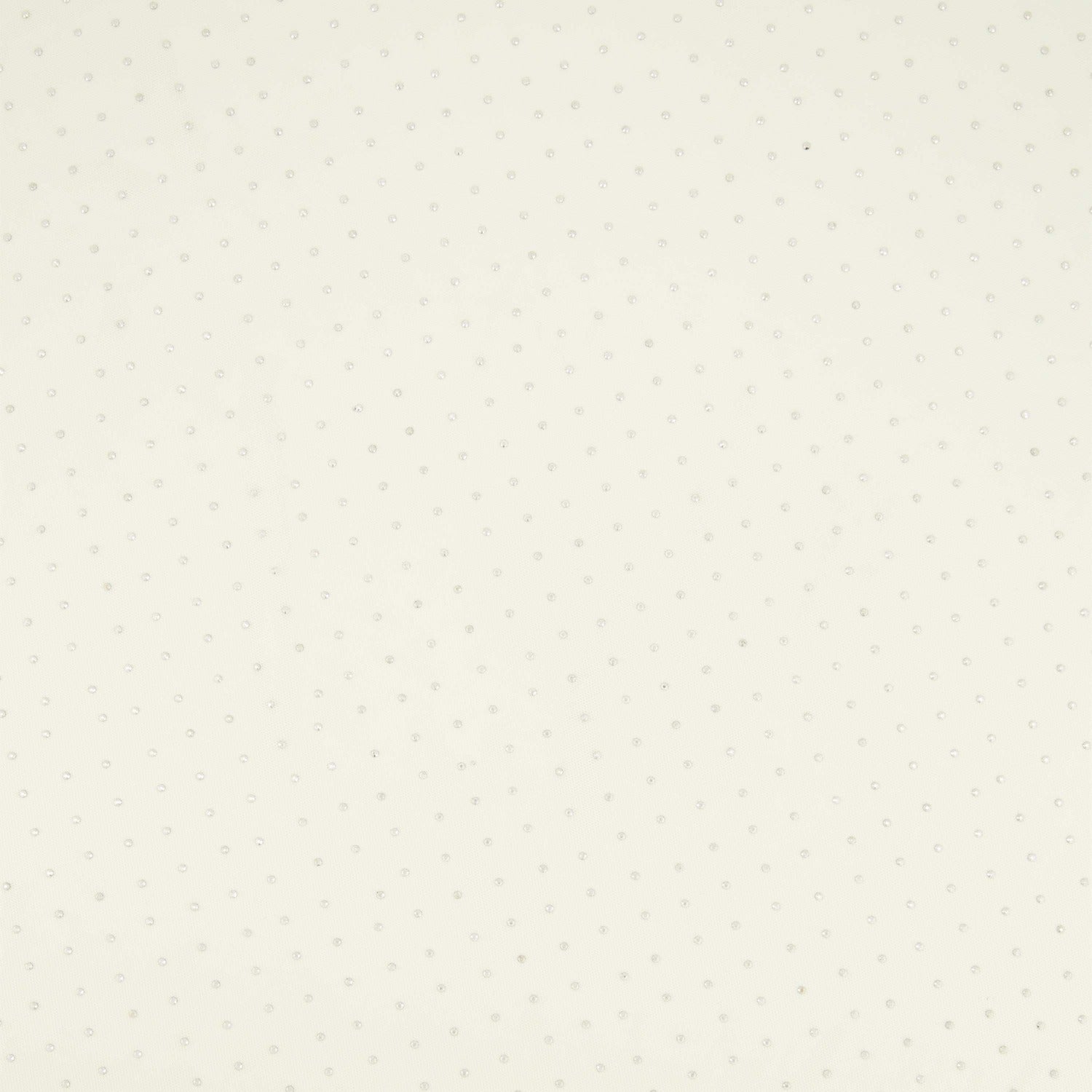 #color_IVORY/SILVER