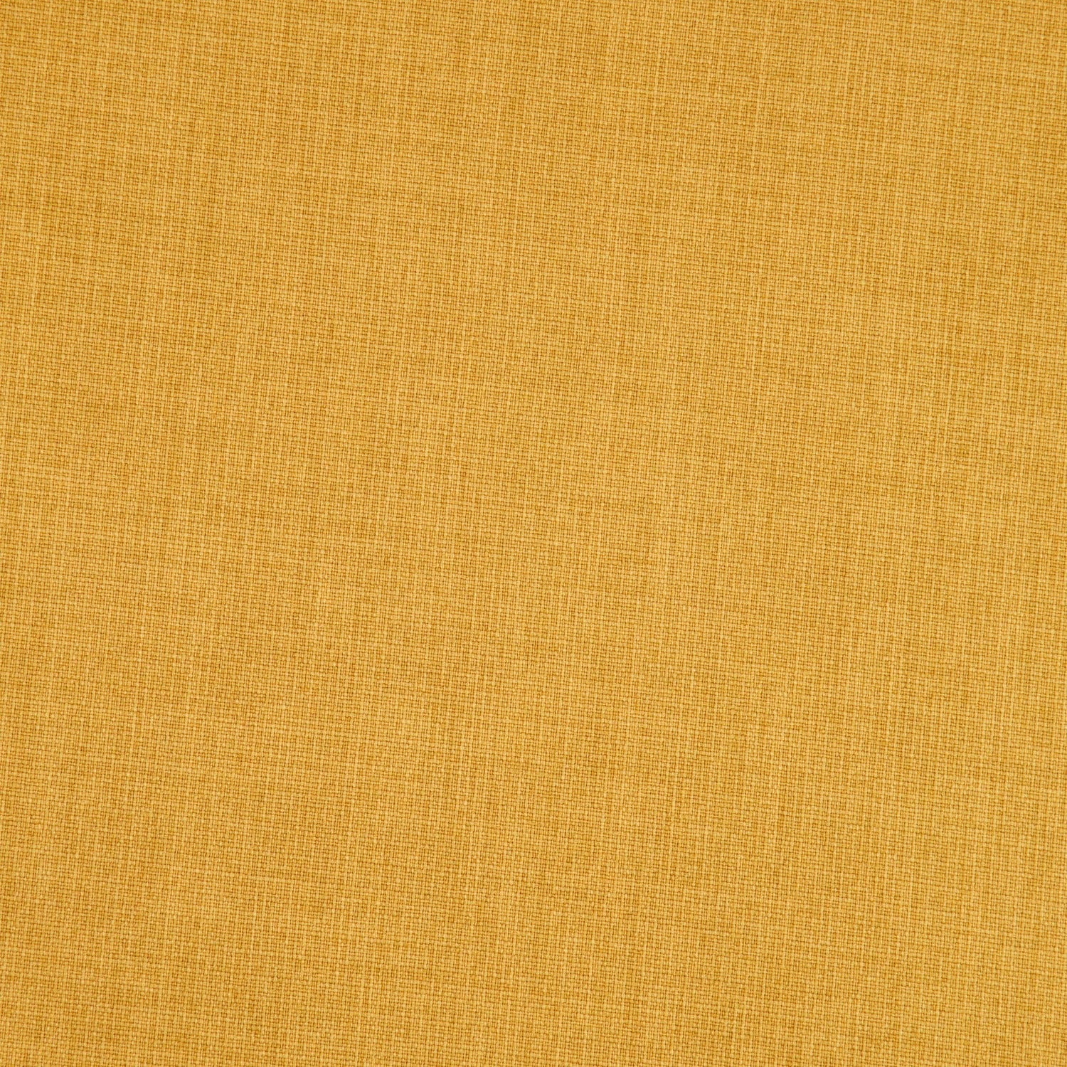 #color_MUSTARD