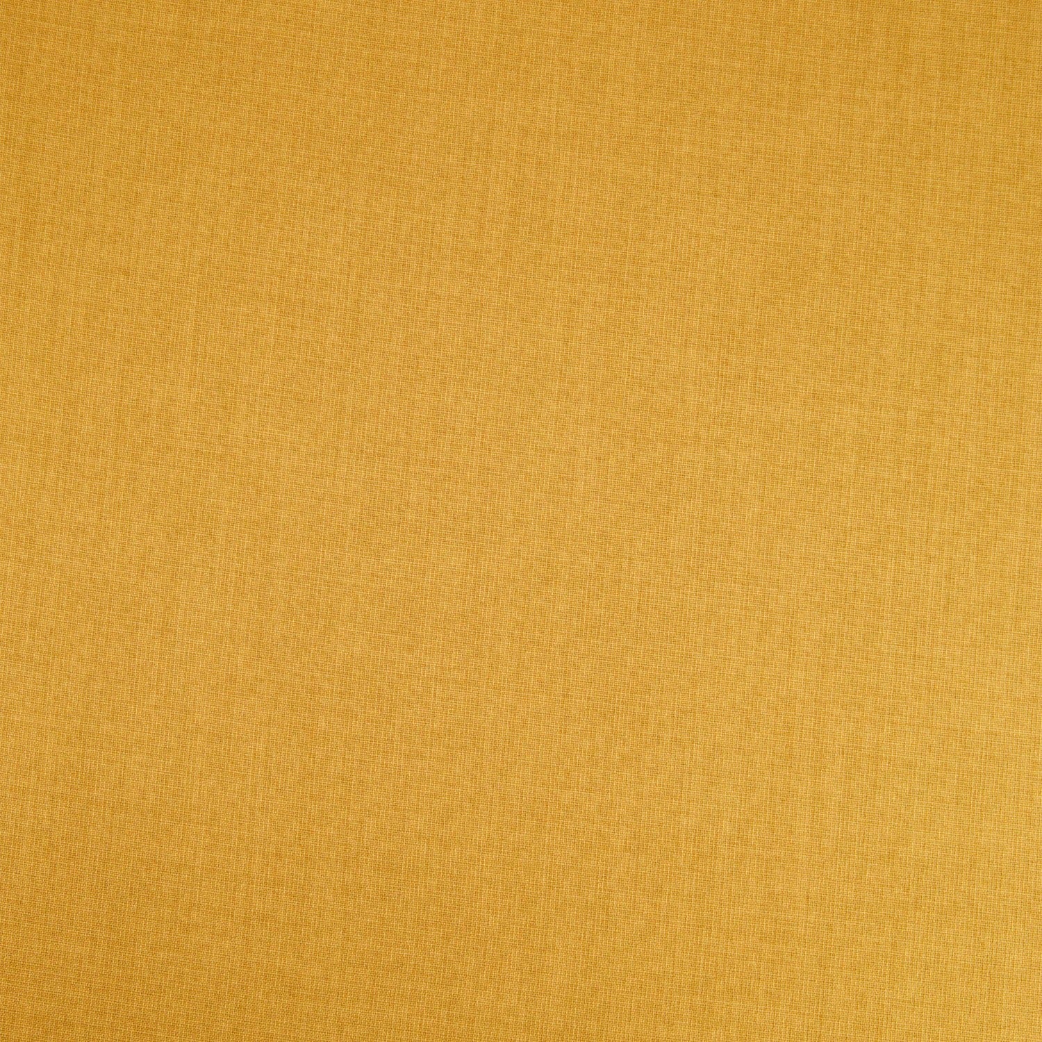 #color_MUSTARD