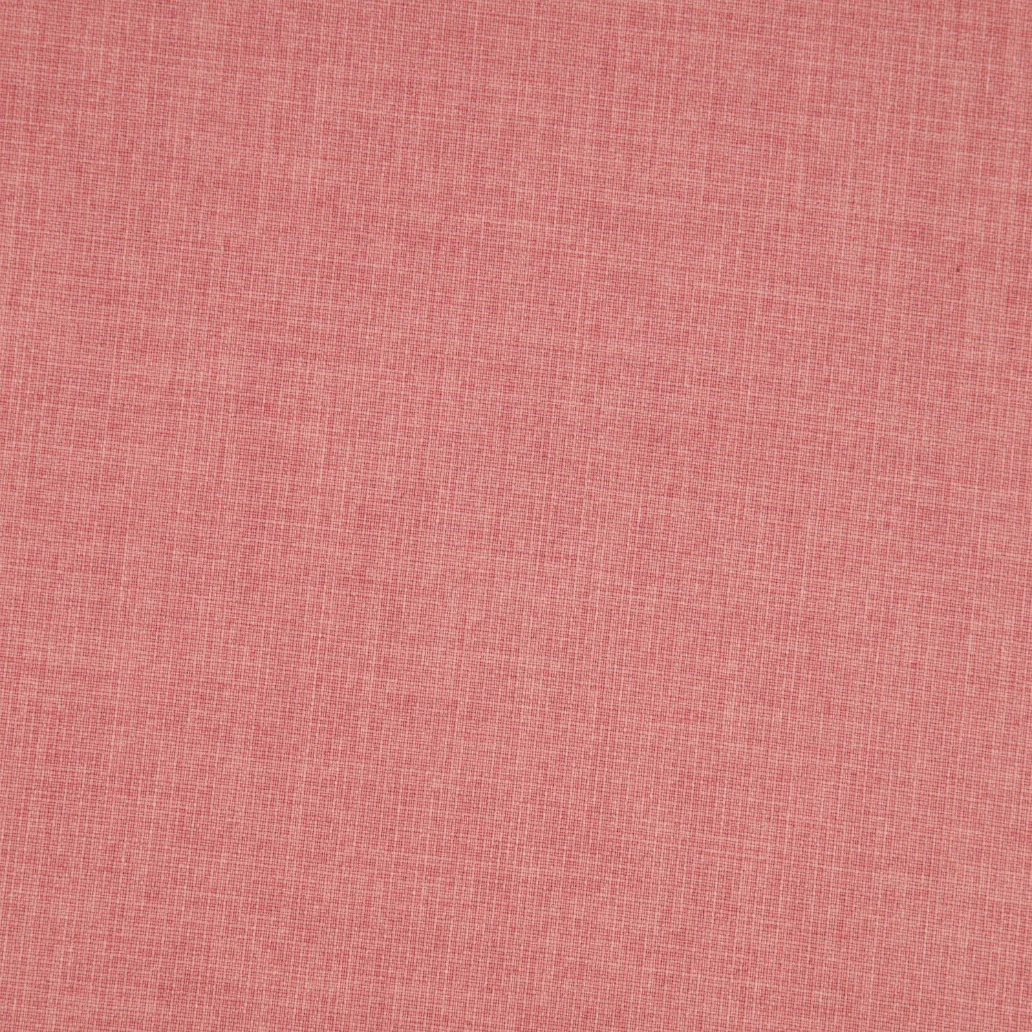 #color_ROSE