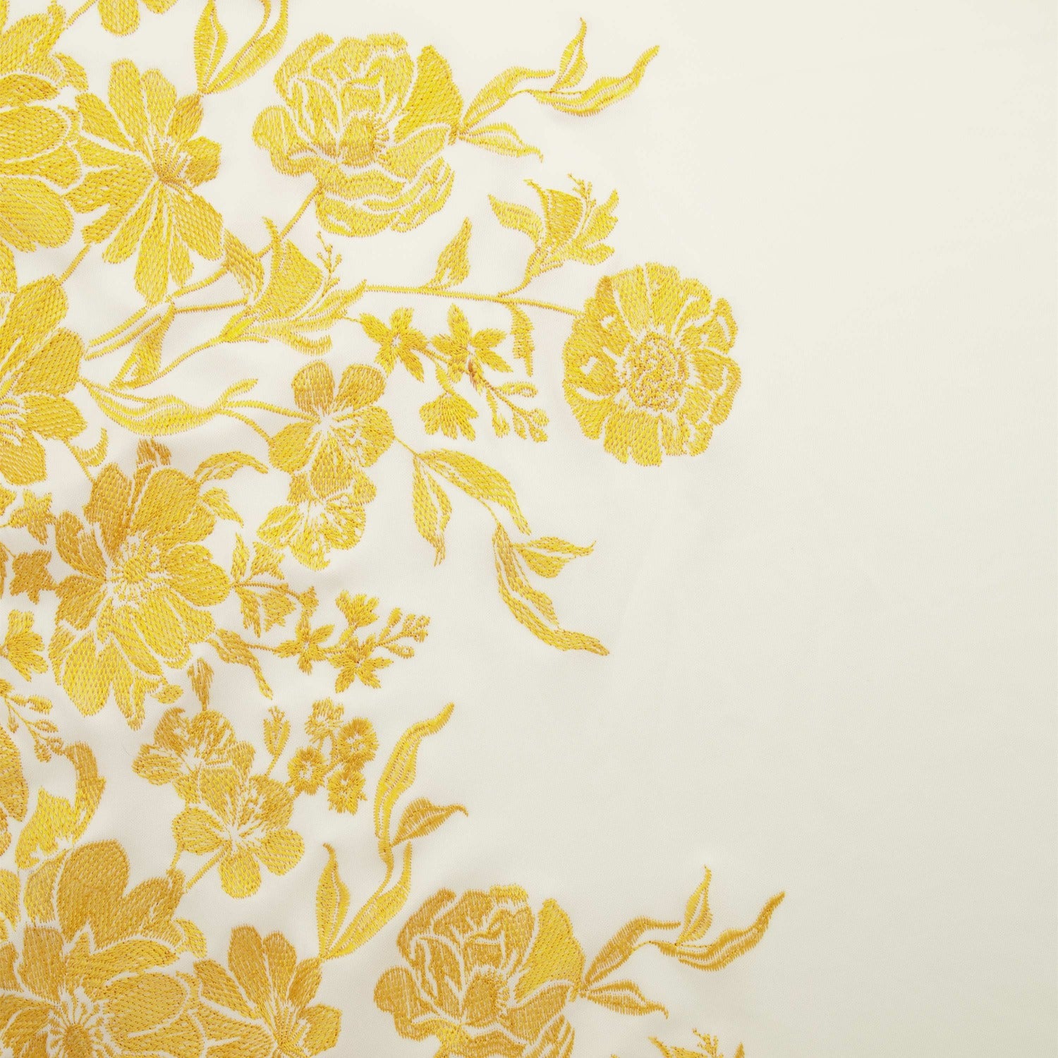 #color_IVORY/ DAFFODIL