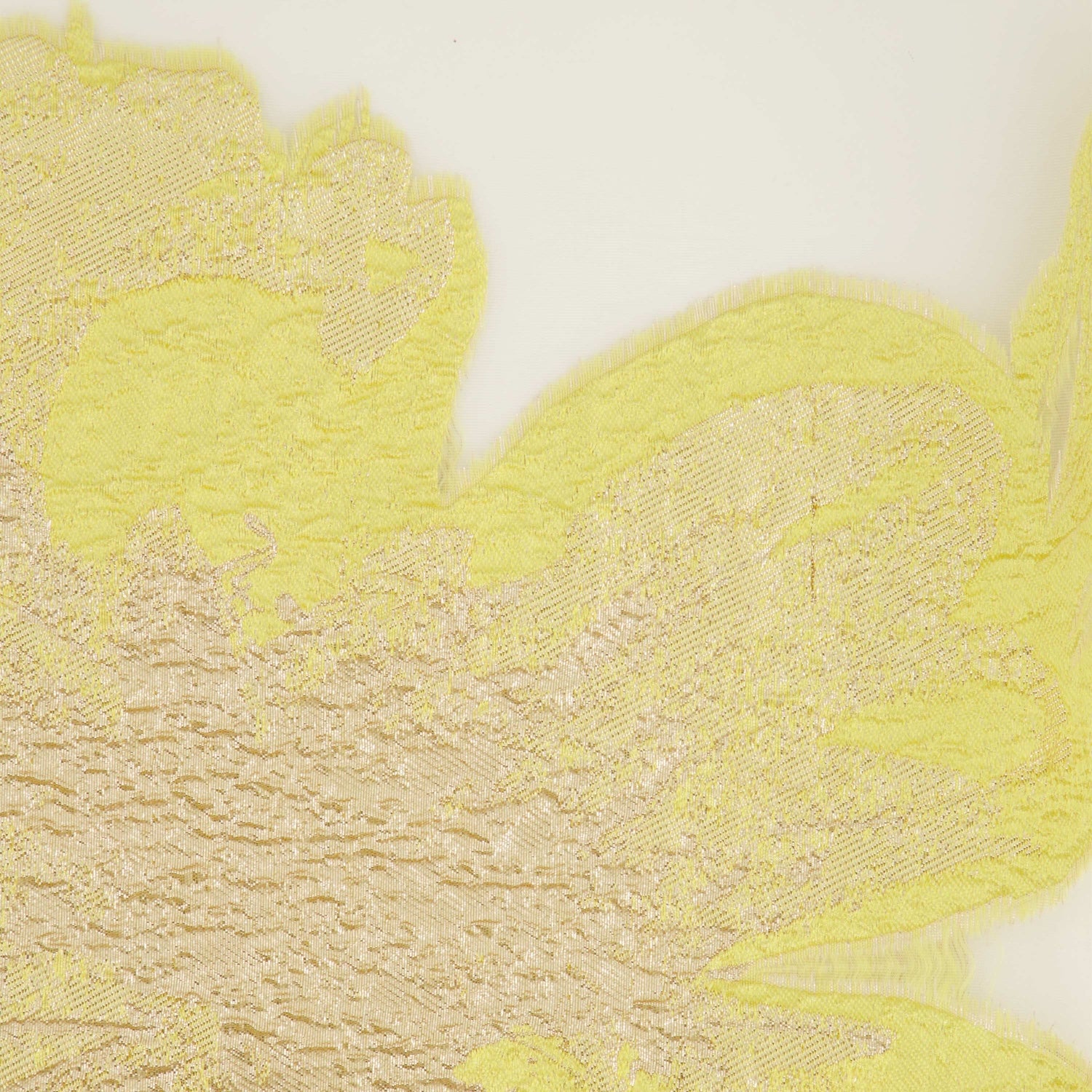 #color_WHITE/ BUTTERCUP