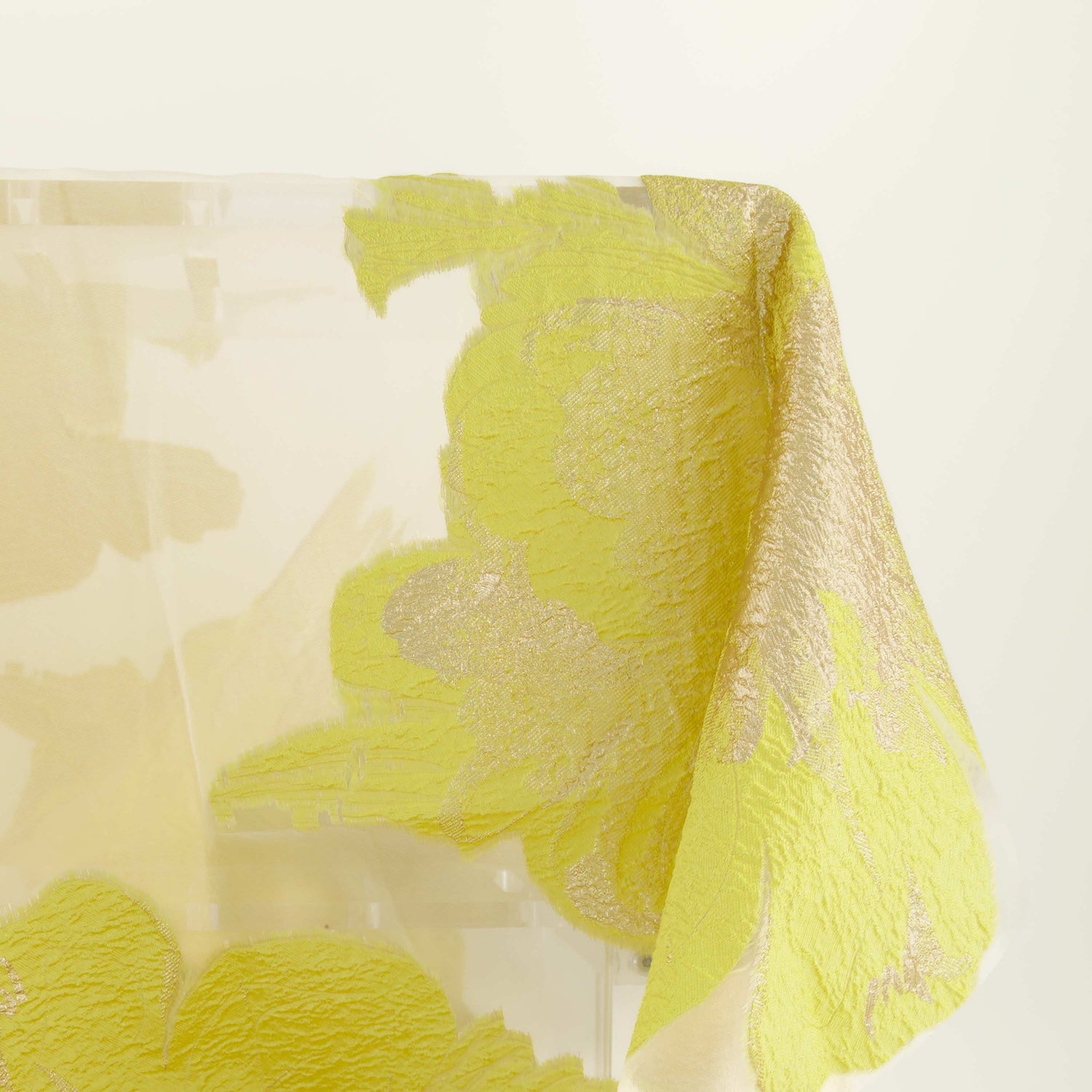 #color_WHITE/ BUTTERCUP