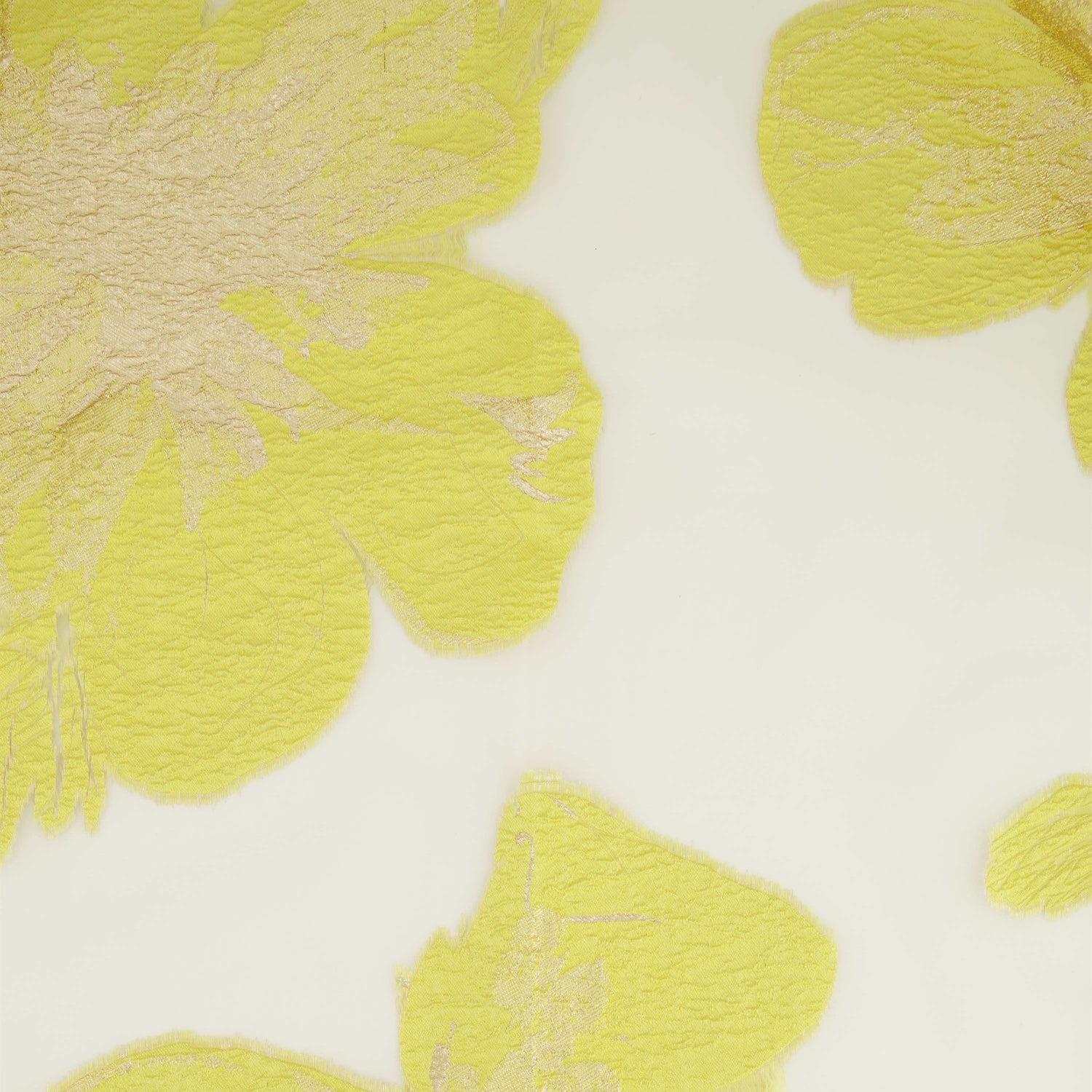 #color_WHITE/ BUTTERCUP