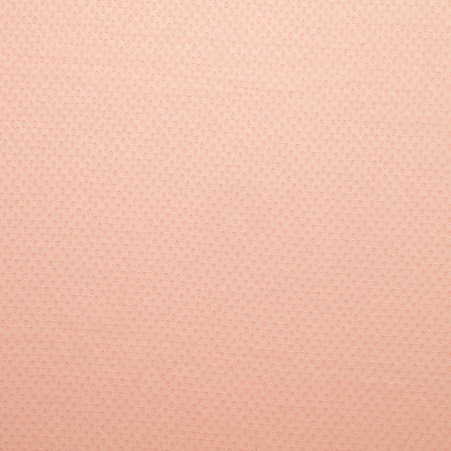 #color_PETAL BREEZE