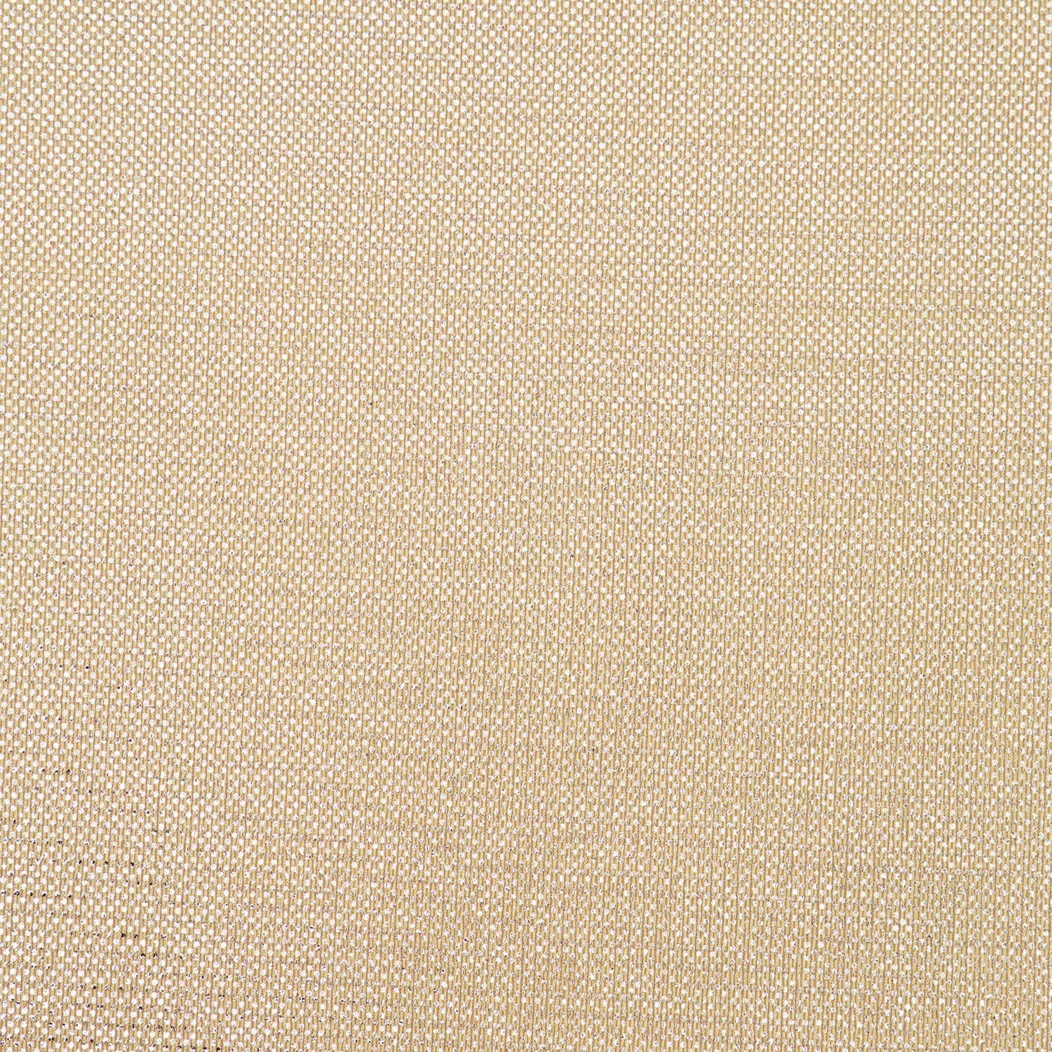 #color_CHAMPAGNE/SILVER